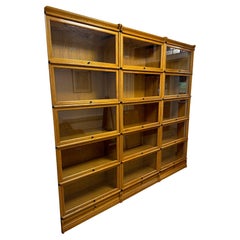 Large Globe Wernicke Bookcase