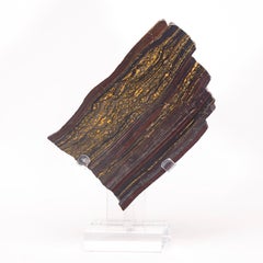 Large Gold Tiger Iron Slab from South Africa Mounted on Custom Acrylic Stand