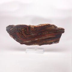 Large Gold Tiger Iron Slab from South Africa Mounted on Custom Acrylic Stand