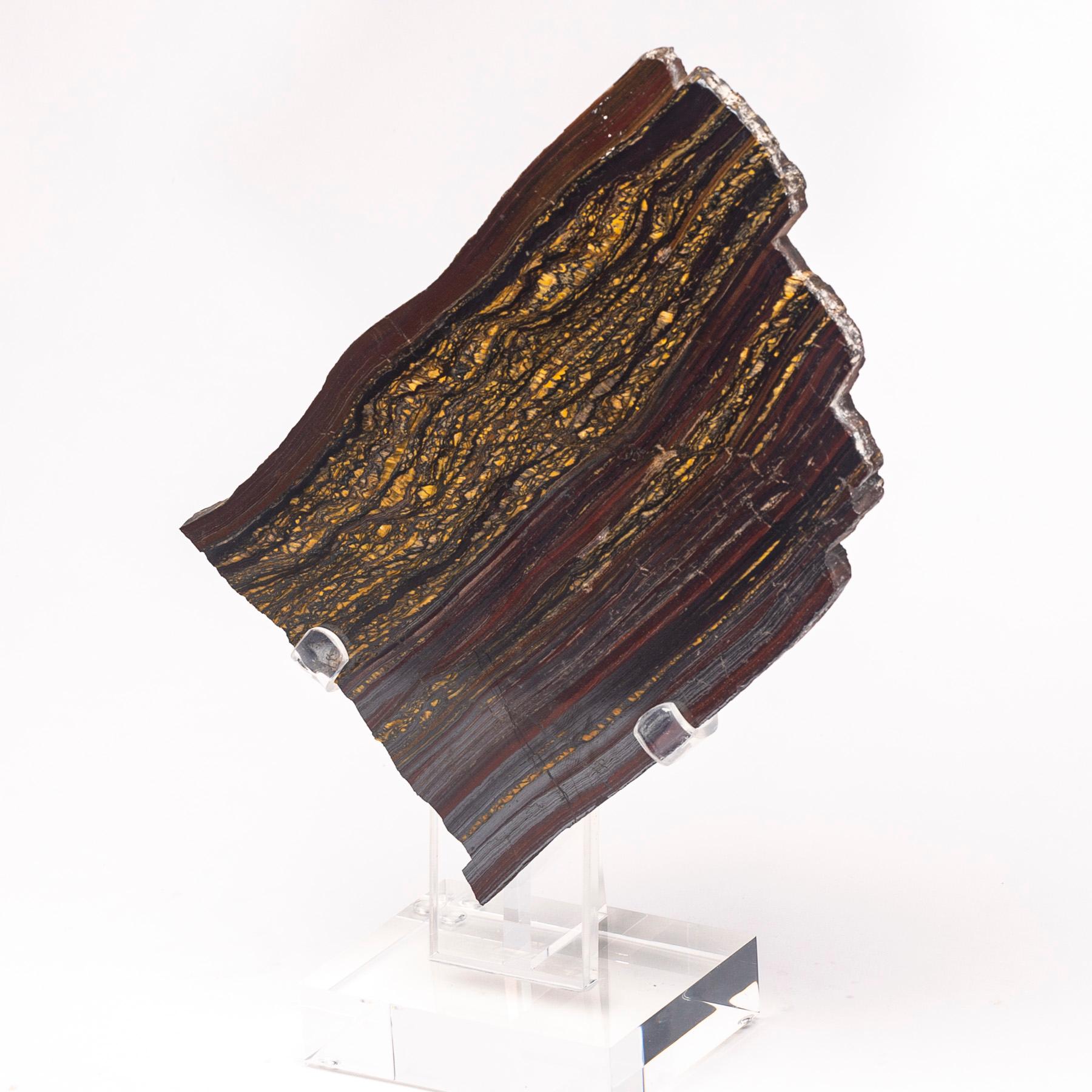 Großer goldener Tiger-Eisenstab aus Südafrika, montiert auf einem maßgefertigten Acrylständer (Poliert) im Angebot