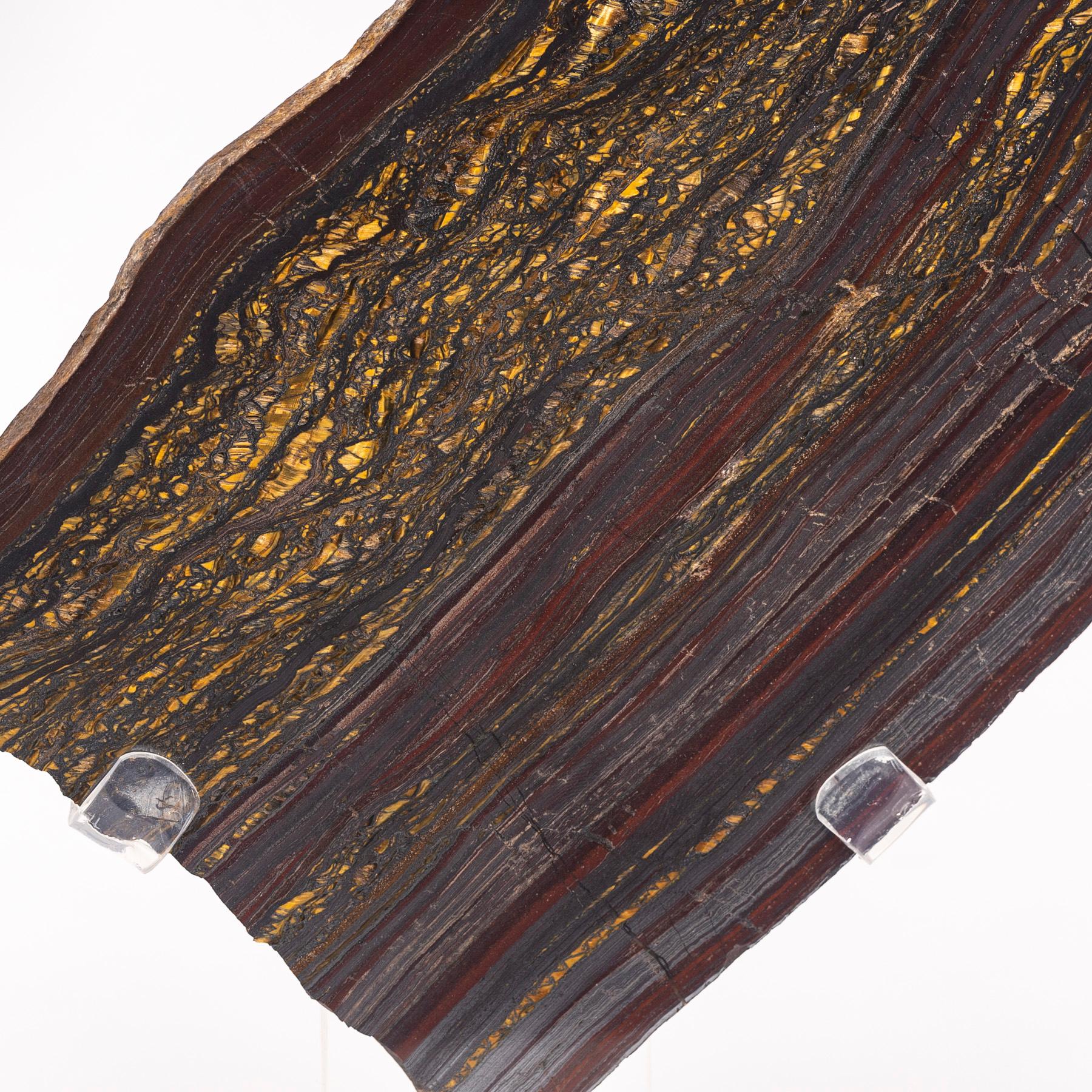 Acrylique Grand dalle en fer tigré doré d'Afrique du Sud monté sur un support en acrylique personnalisé
