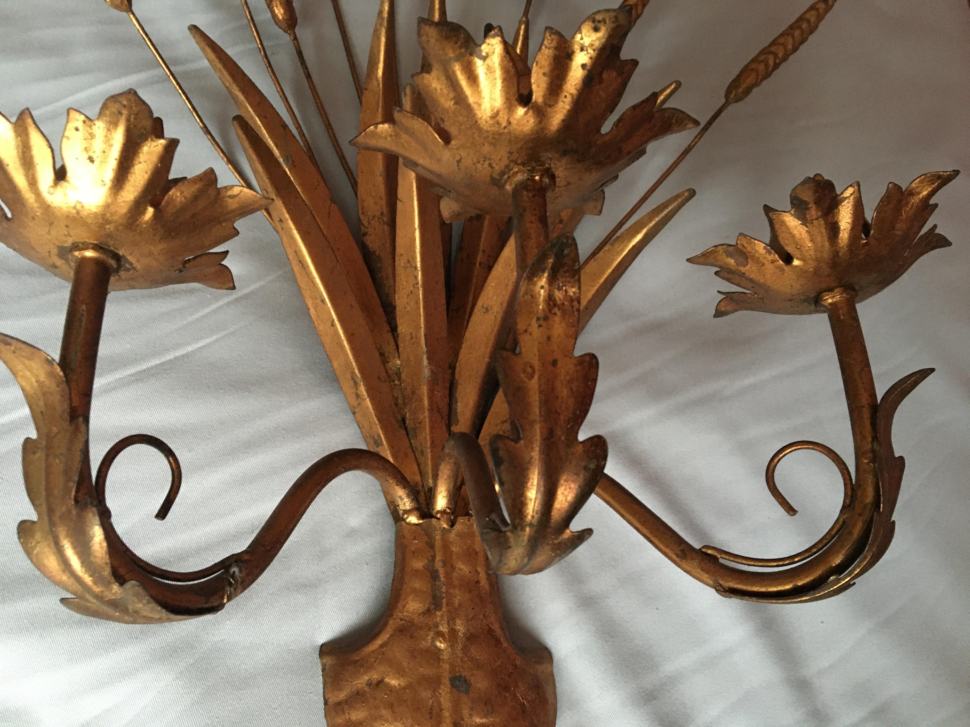 Gilt Large Gold Wheat Pair of Sconces, France, 1960s For Sale