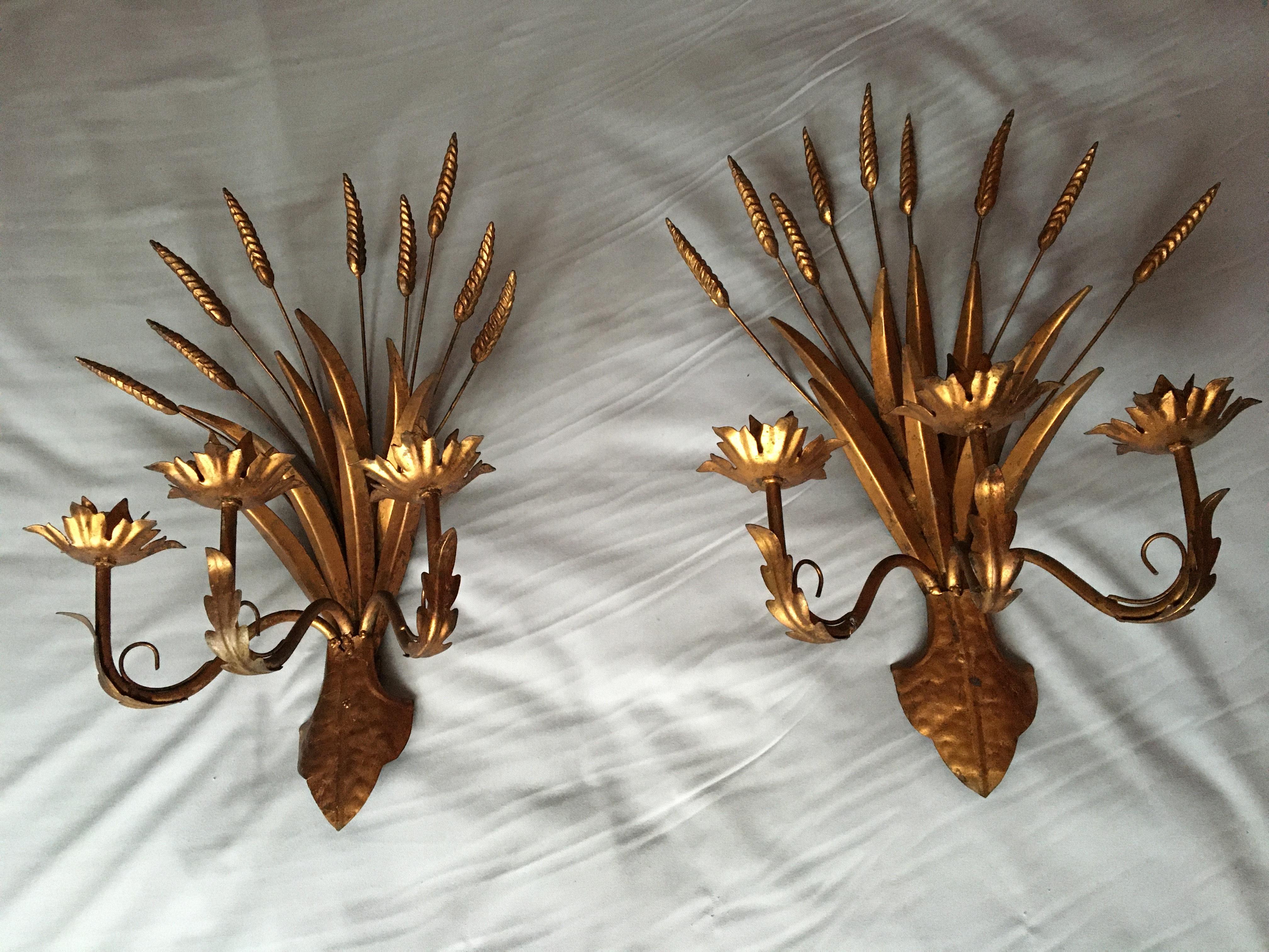 Wrought Iron Large Gold Wheat Pair of Sconces, France, 1960s For Sale