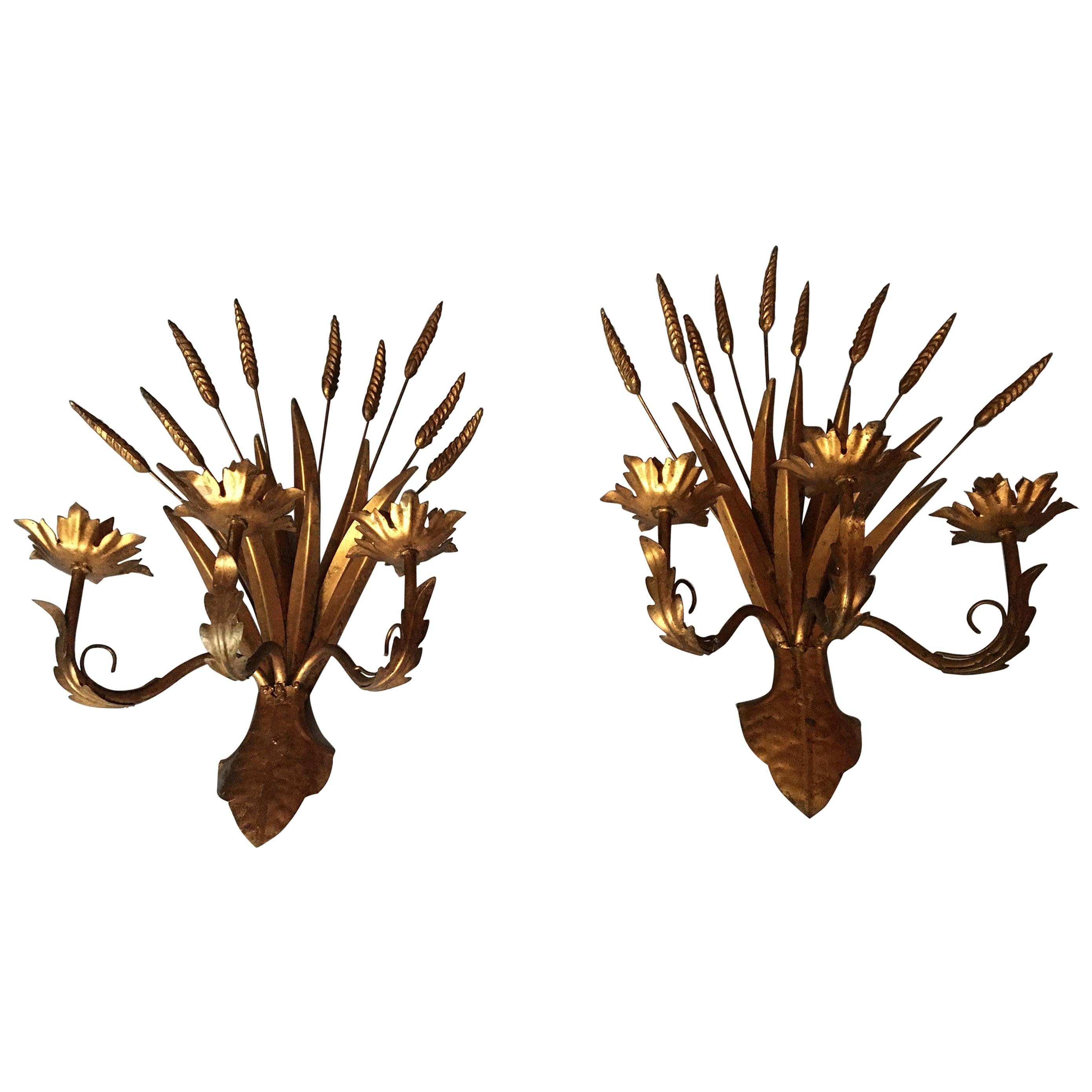 Large Gold Wheat Pair of Sconces, France, 1960s