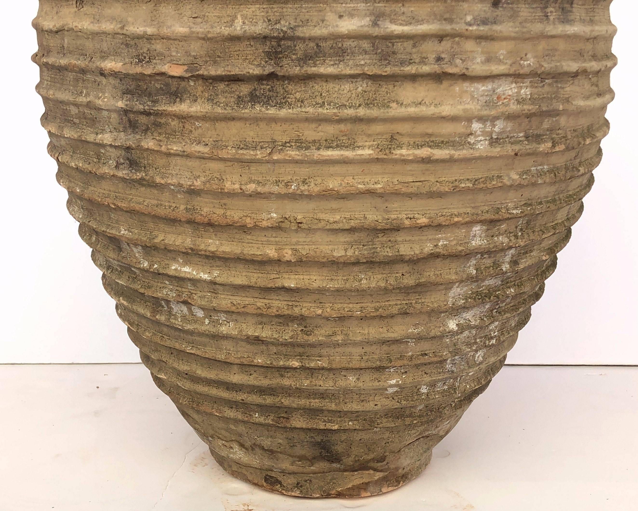 Large Greek Garden Urn or Oil Jar 4