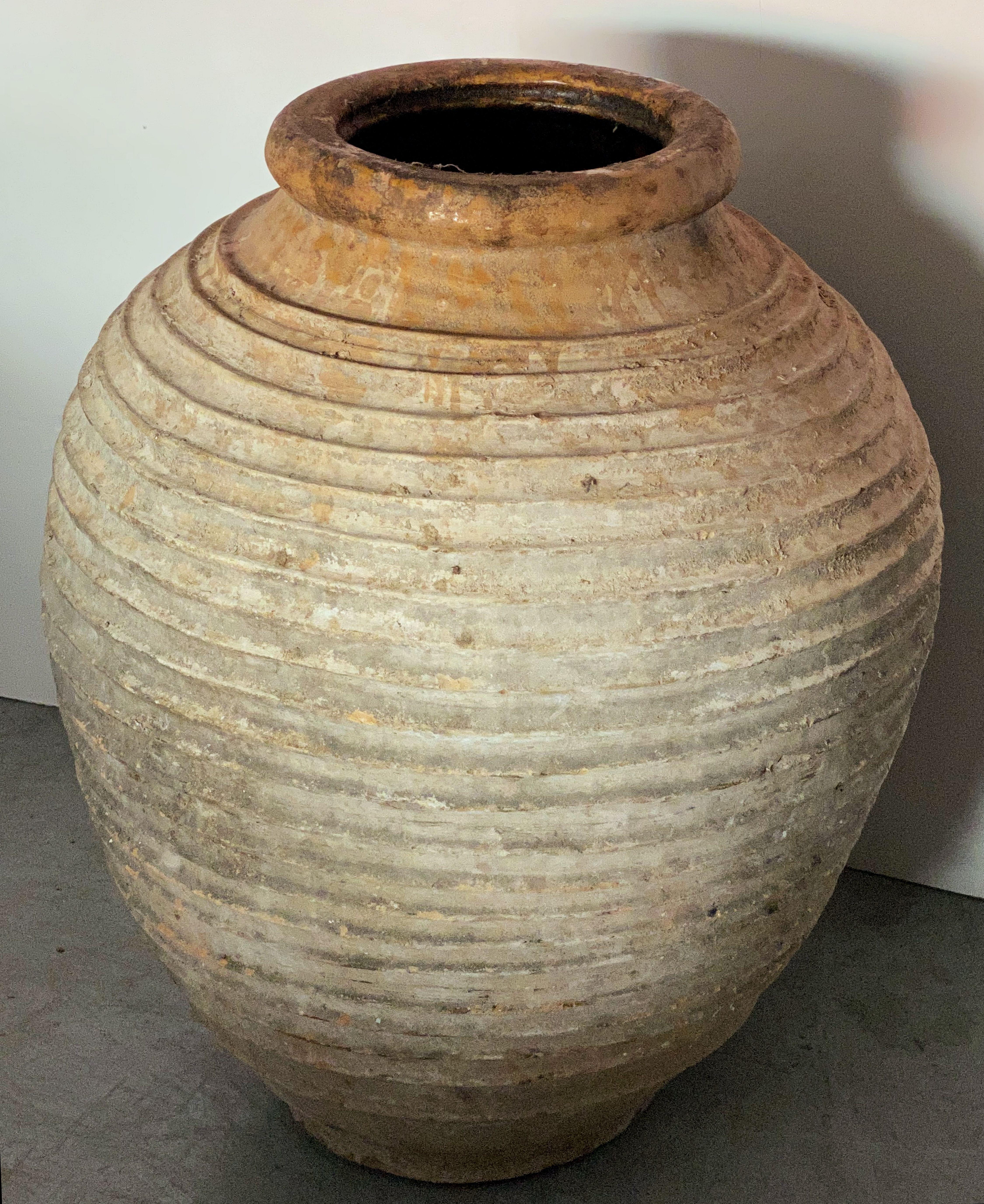 Large Greek Garden Urn or Oil Jar 5