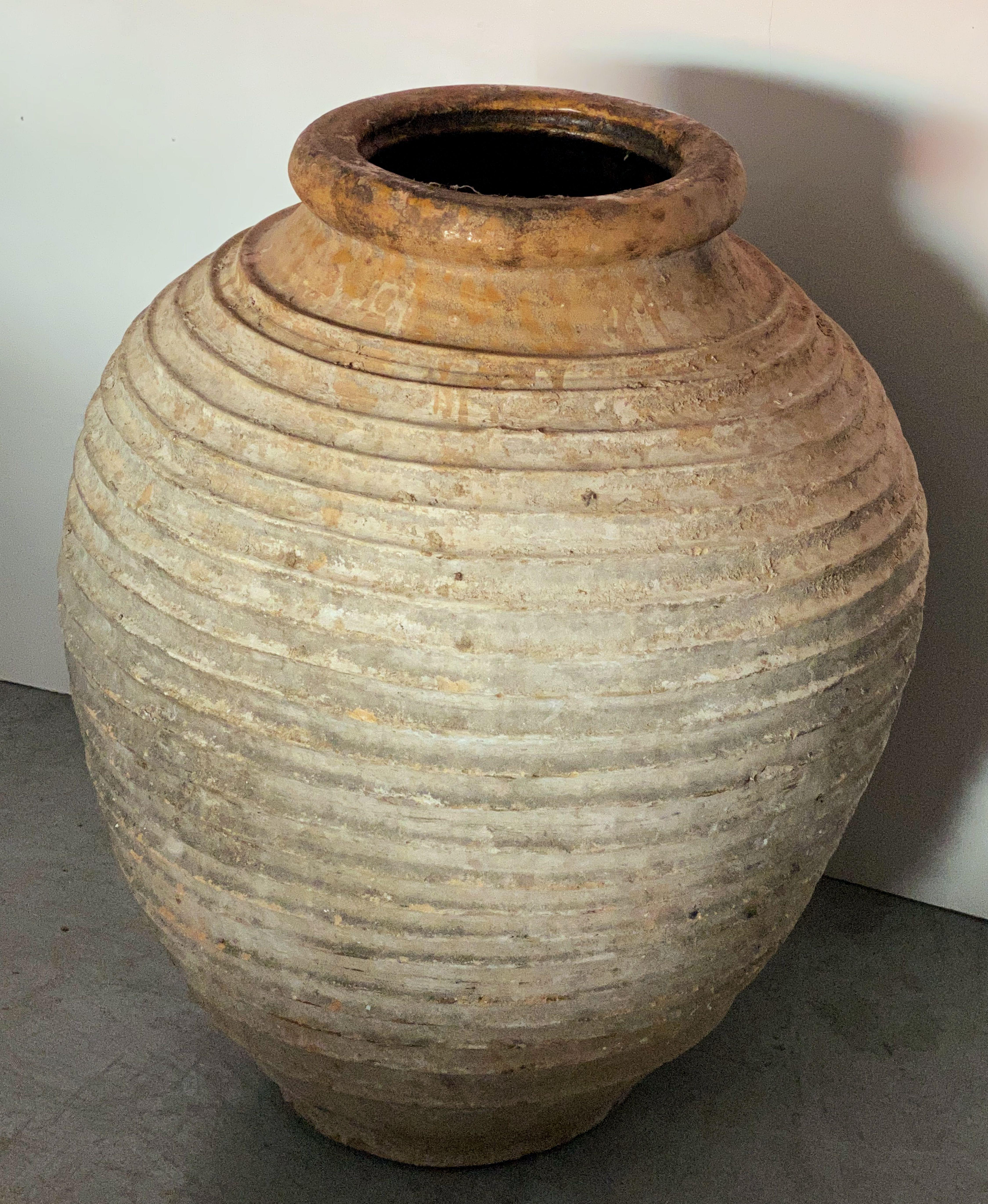 Large Greek Garden Urn or Oil Jar 6