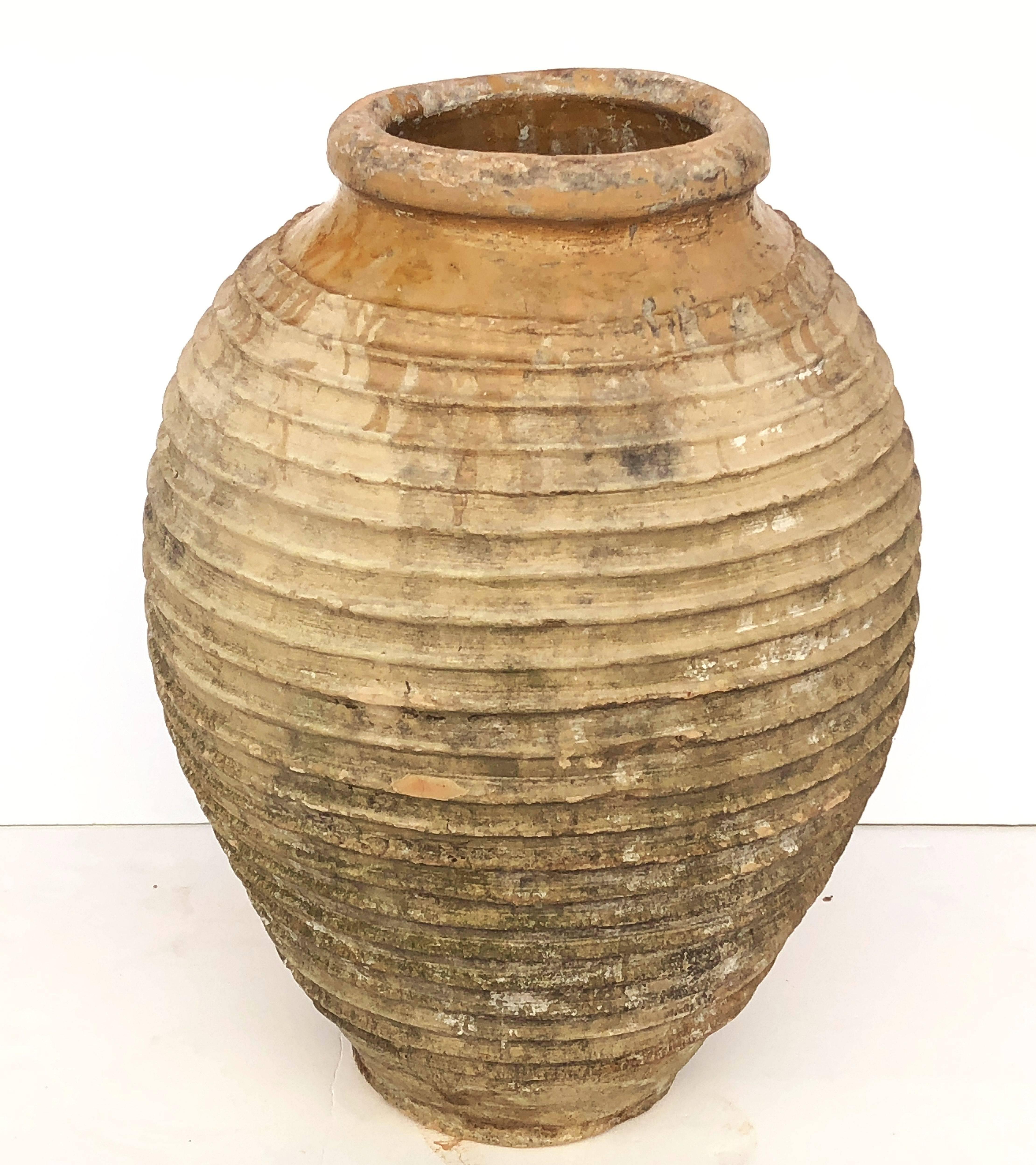 A handsome large Greek garden urn pot (amphora) or oil jar, featuring a glazed top over a ridged, cylindrical body and functional as a garden ornament or planter.

Other similarly-styled jars and pots available.

This pot's dimensions:

Height