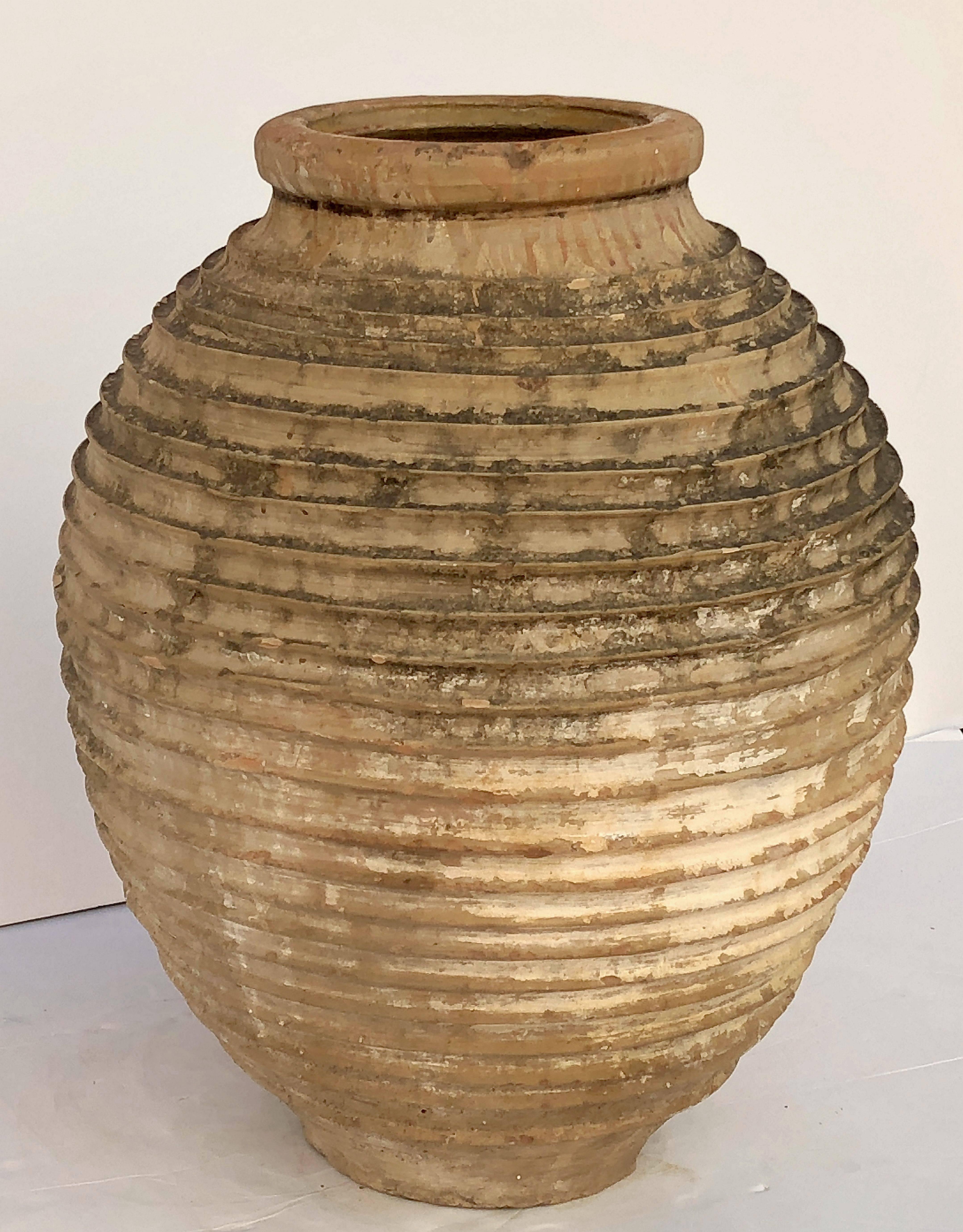 A handsome large Greek garden urn pot (Amphora) or oil jar, featuring a glazed top over a ridged, cylindrical body and functional as an indoor or outdoor garden ornament or planter.

Other similarly-styled jars and pots available.

This pot's