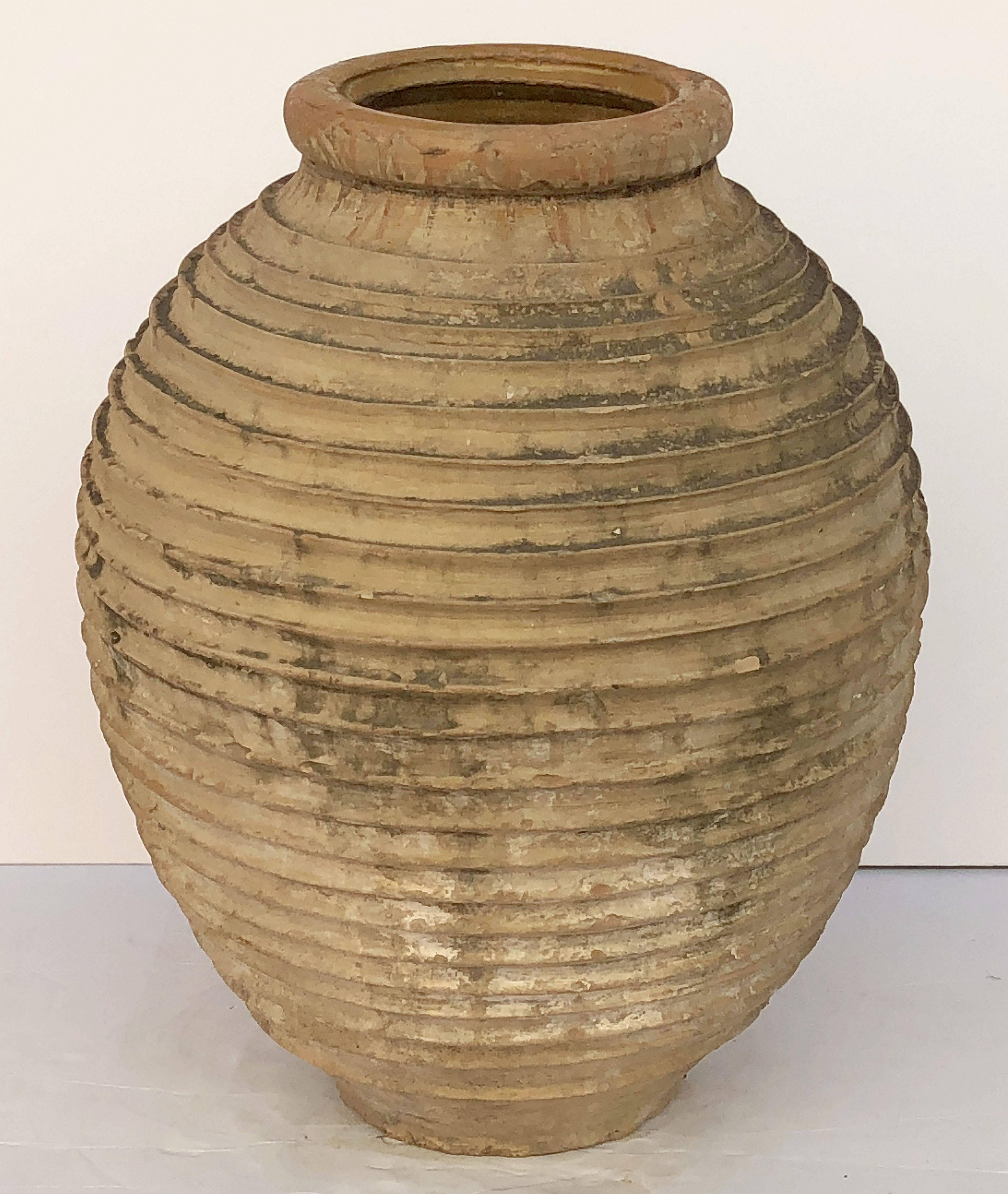 greek oil jar