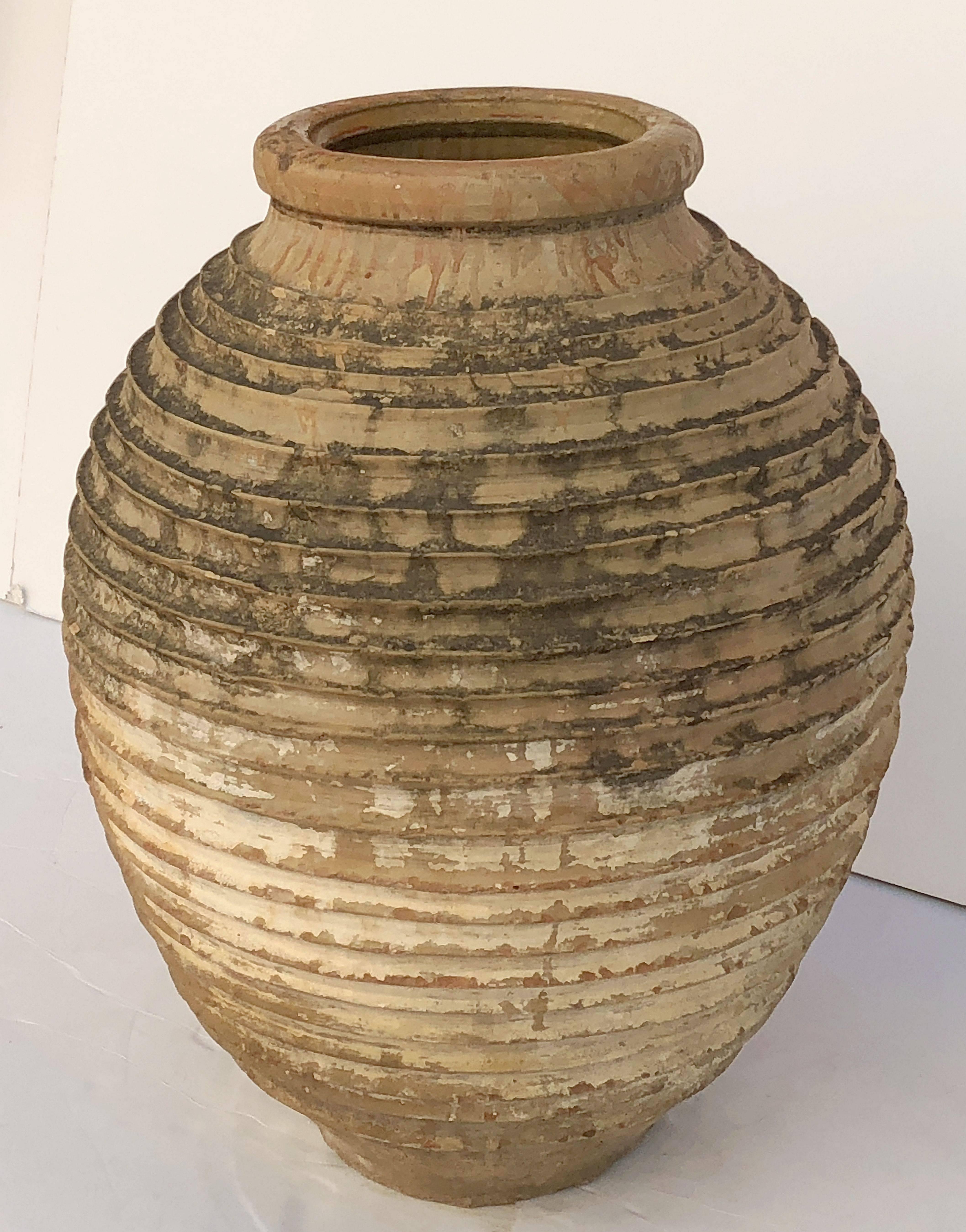 large greek urn planter