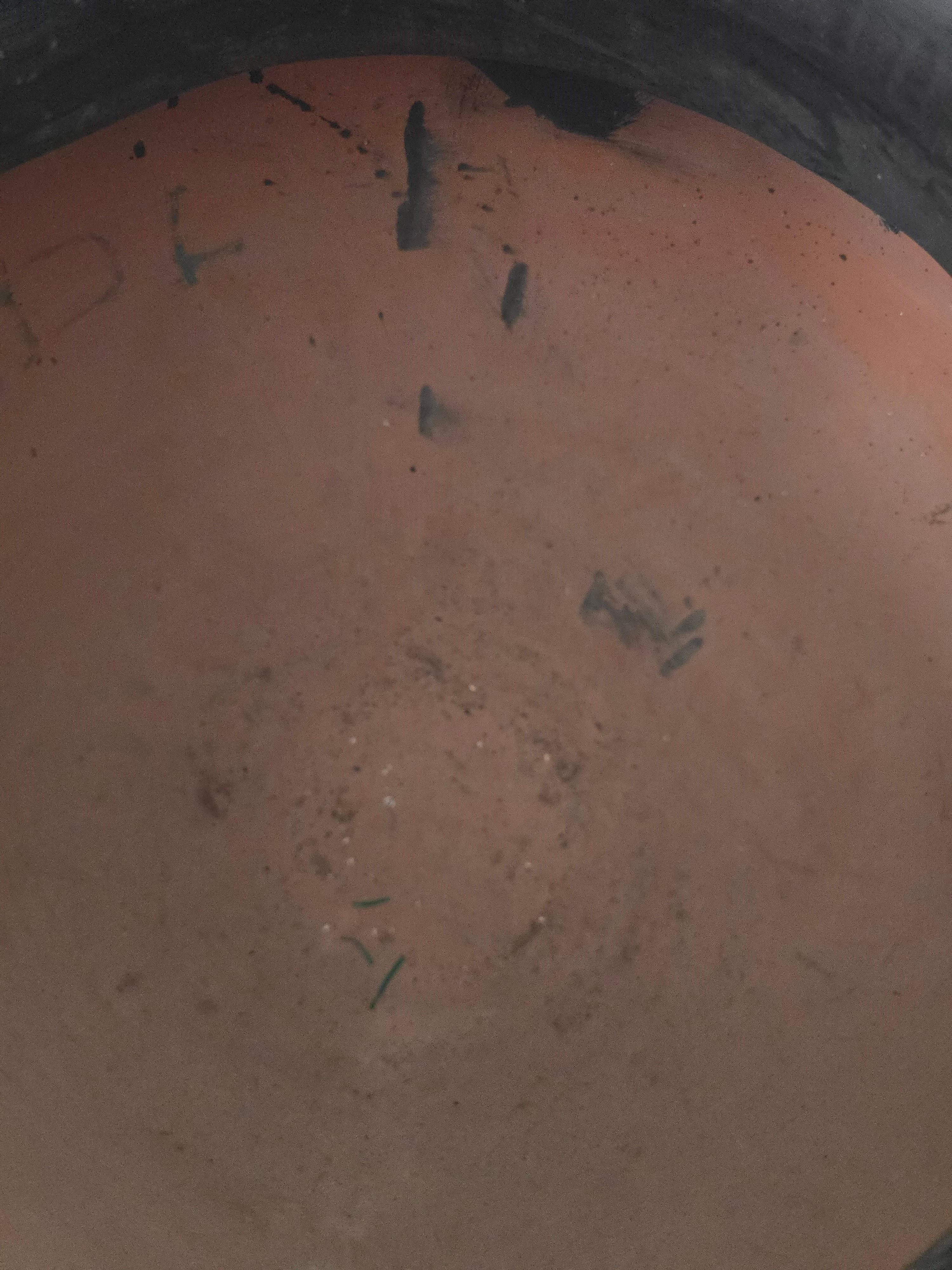 Große griechische Terrakotta-Vase, Neapel um 1900 im Angebot 10