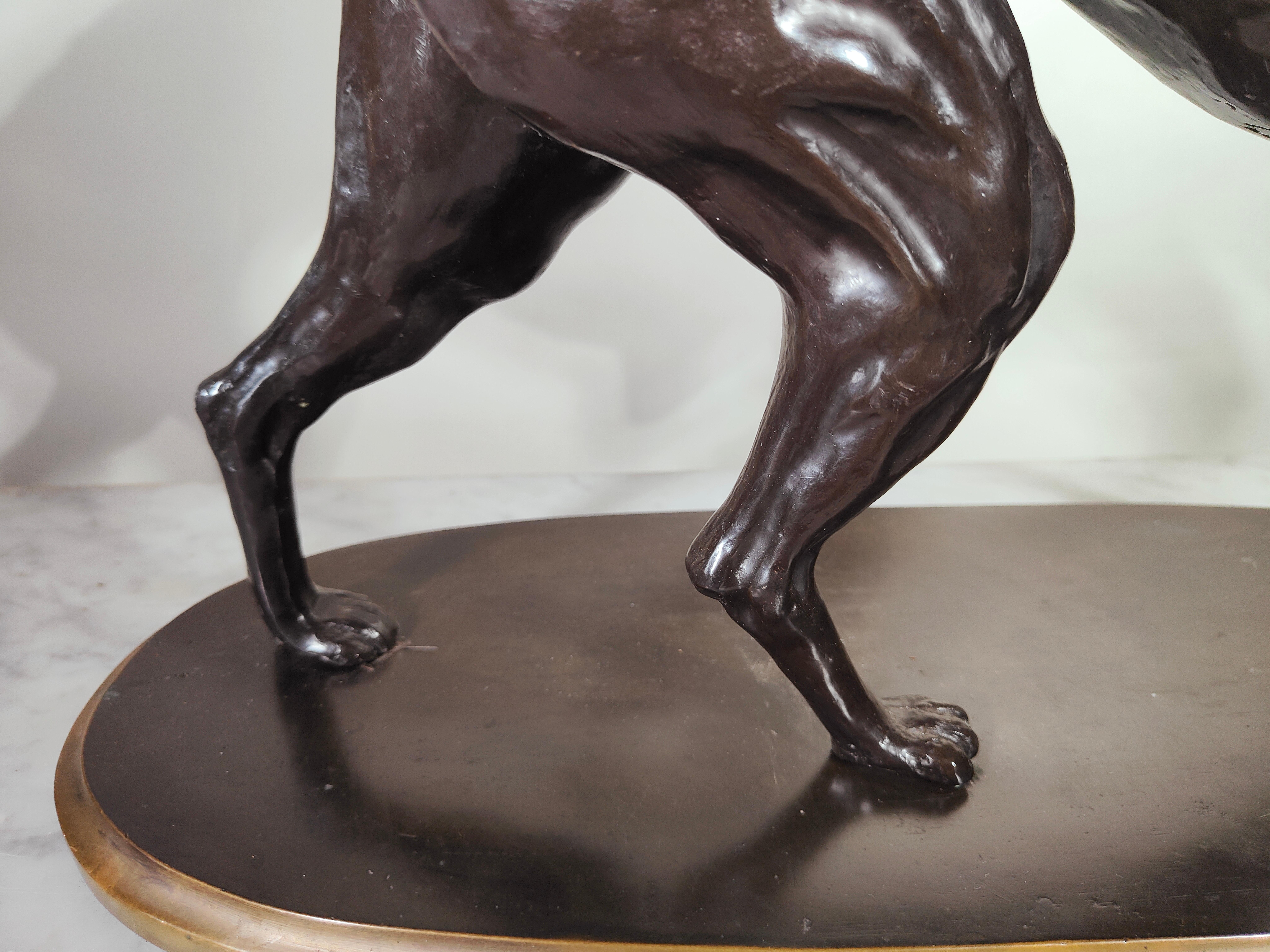 Early 20th Century Large Greyhound Dog in Solid Bronze Art Deco Period For Sale