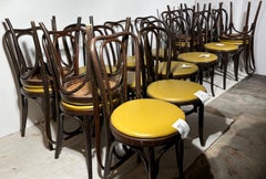 Large Group 23  Cafe Bistro Chairs Thonet