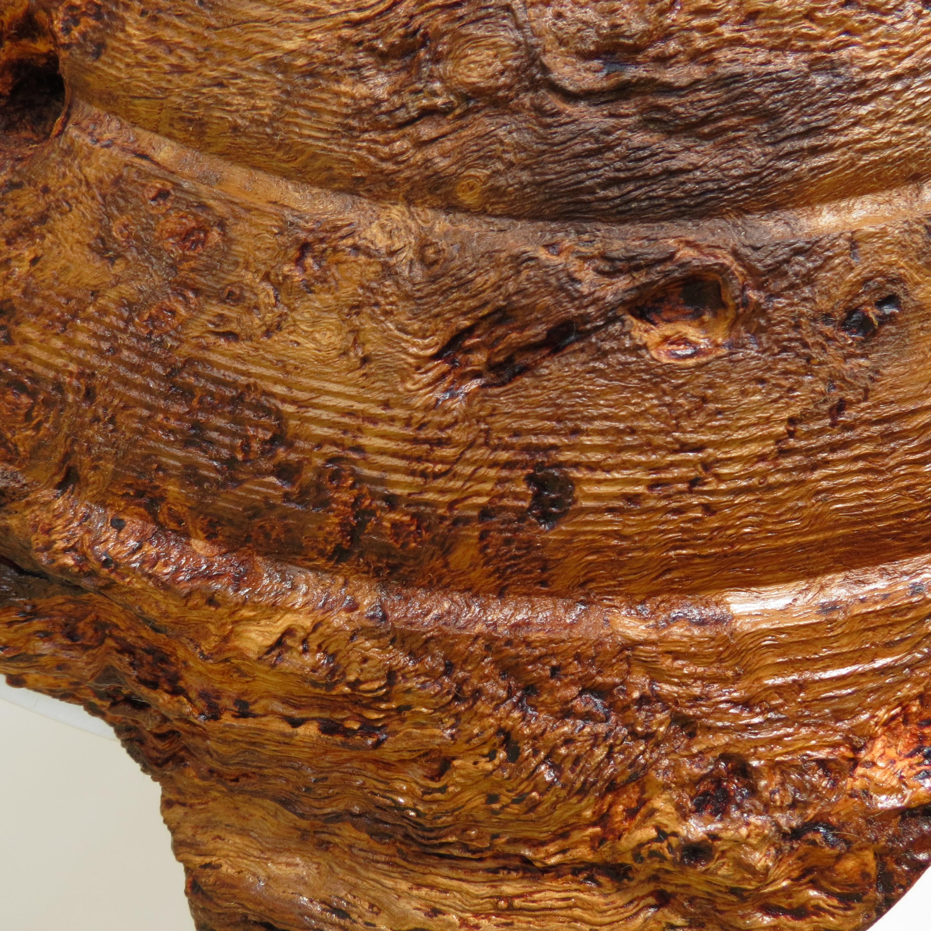 Large Gum Wood Hand Turned Bowl by Mike Scott 'Chai', 1980s 5