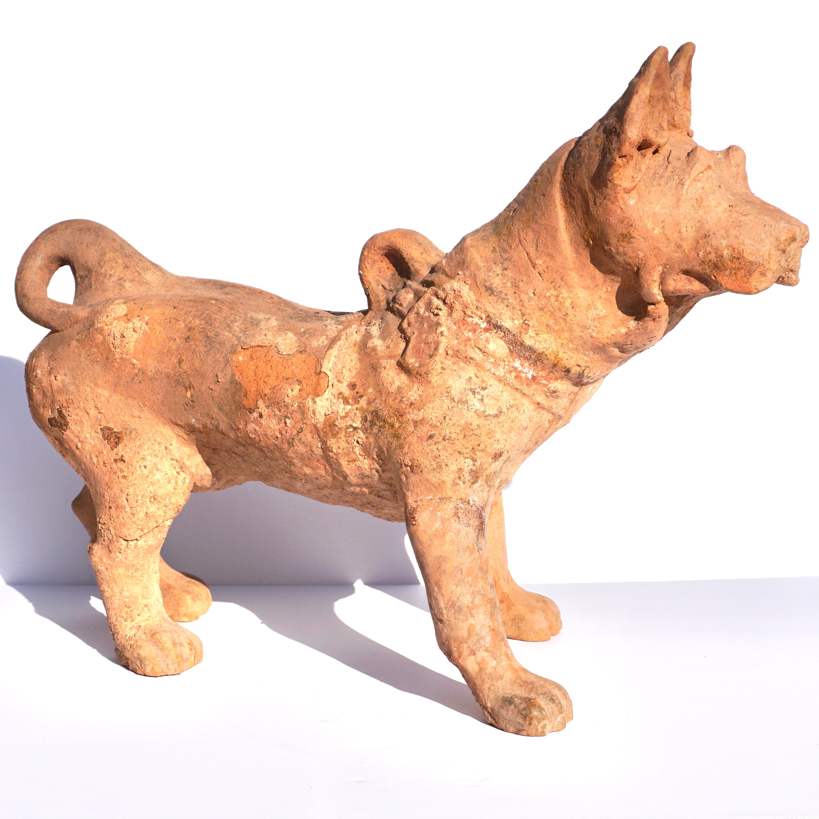 Chinois Grande sculpture en poterie de la Dynasty Han représentant un chien en vente