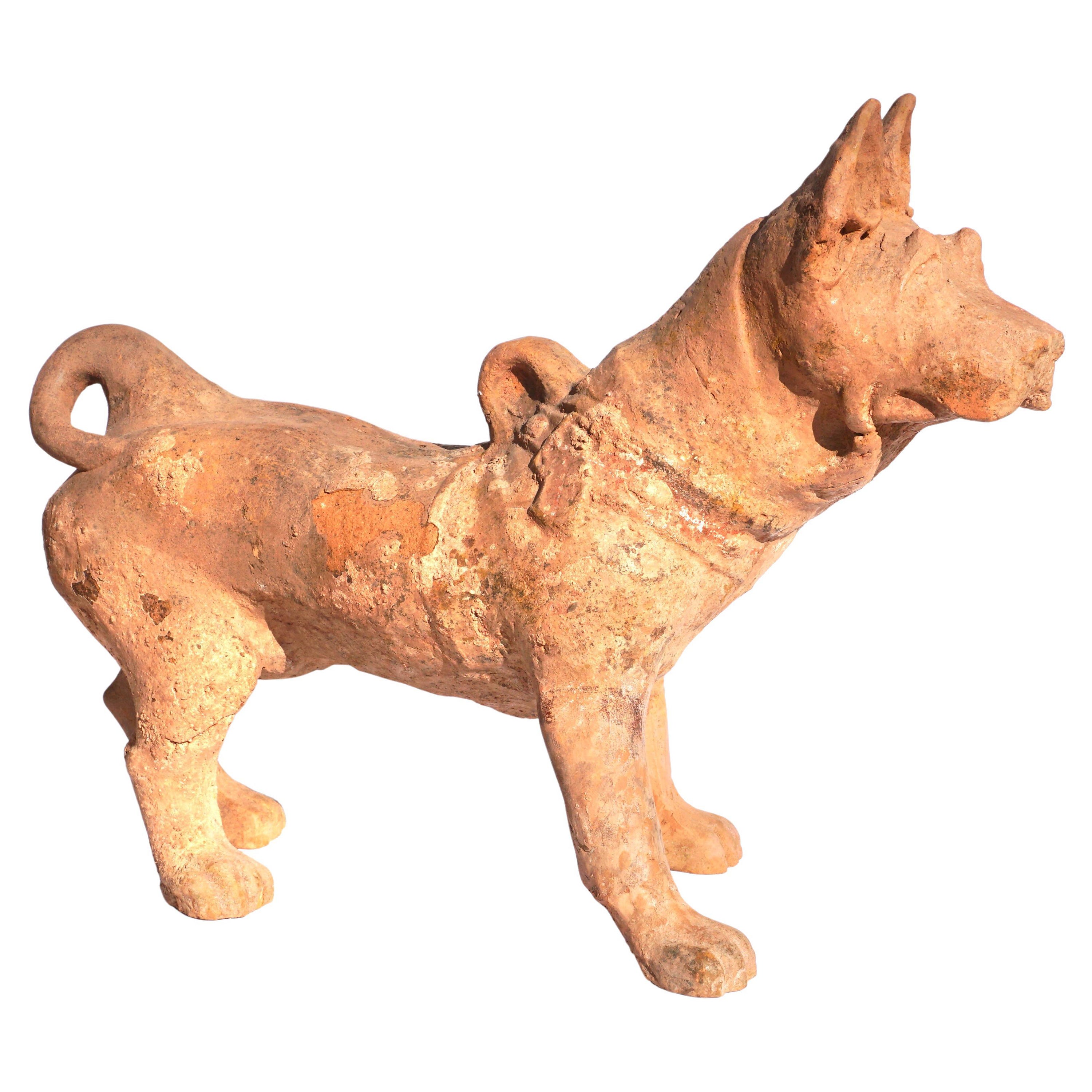 Large Han Dynasty Pottery Sculpture of a Dog TL Tested