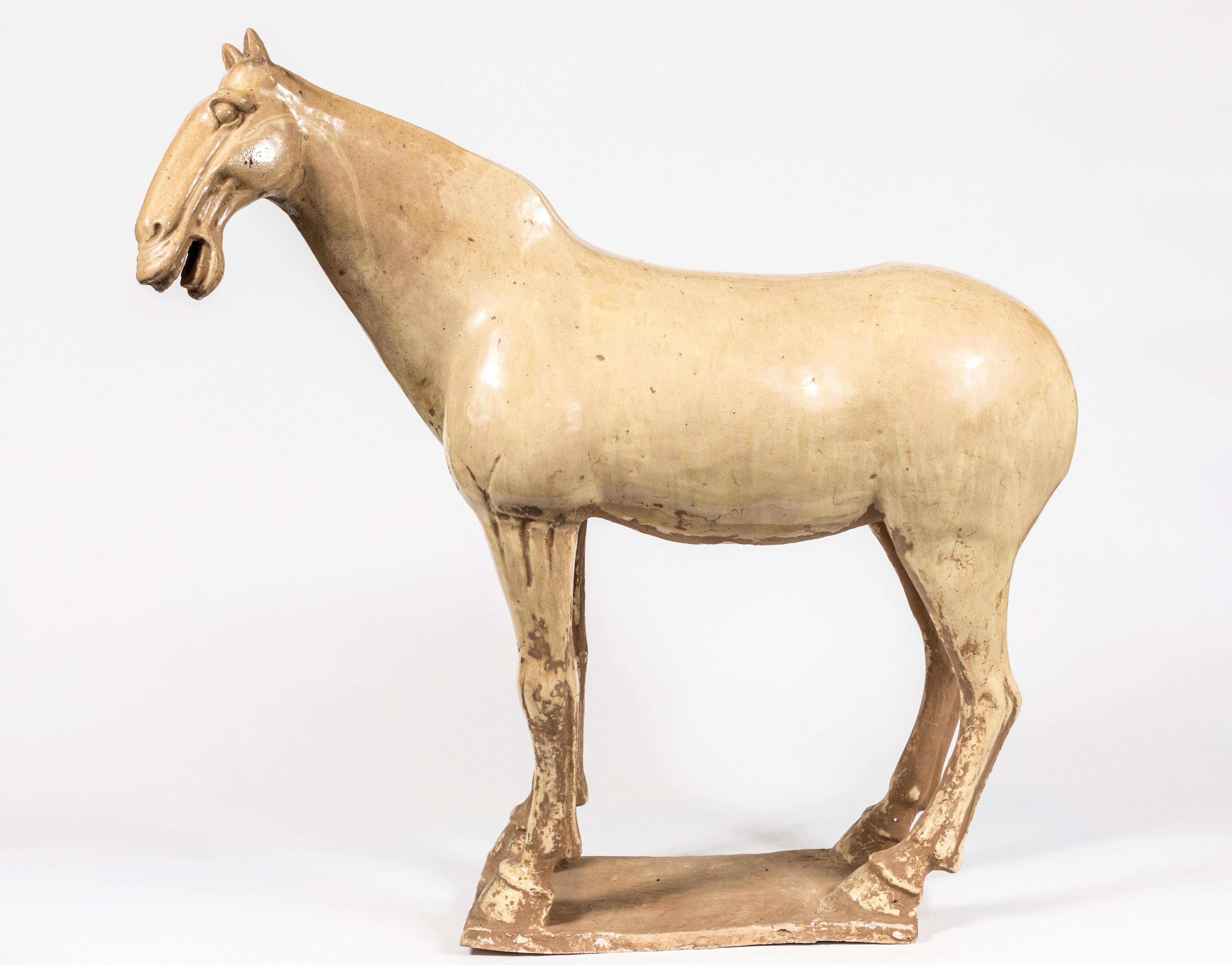 Grand, crème glazed terracotta, Han-style, braying stallion sculpture.