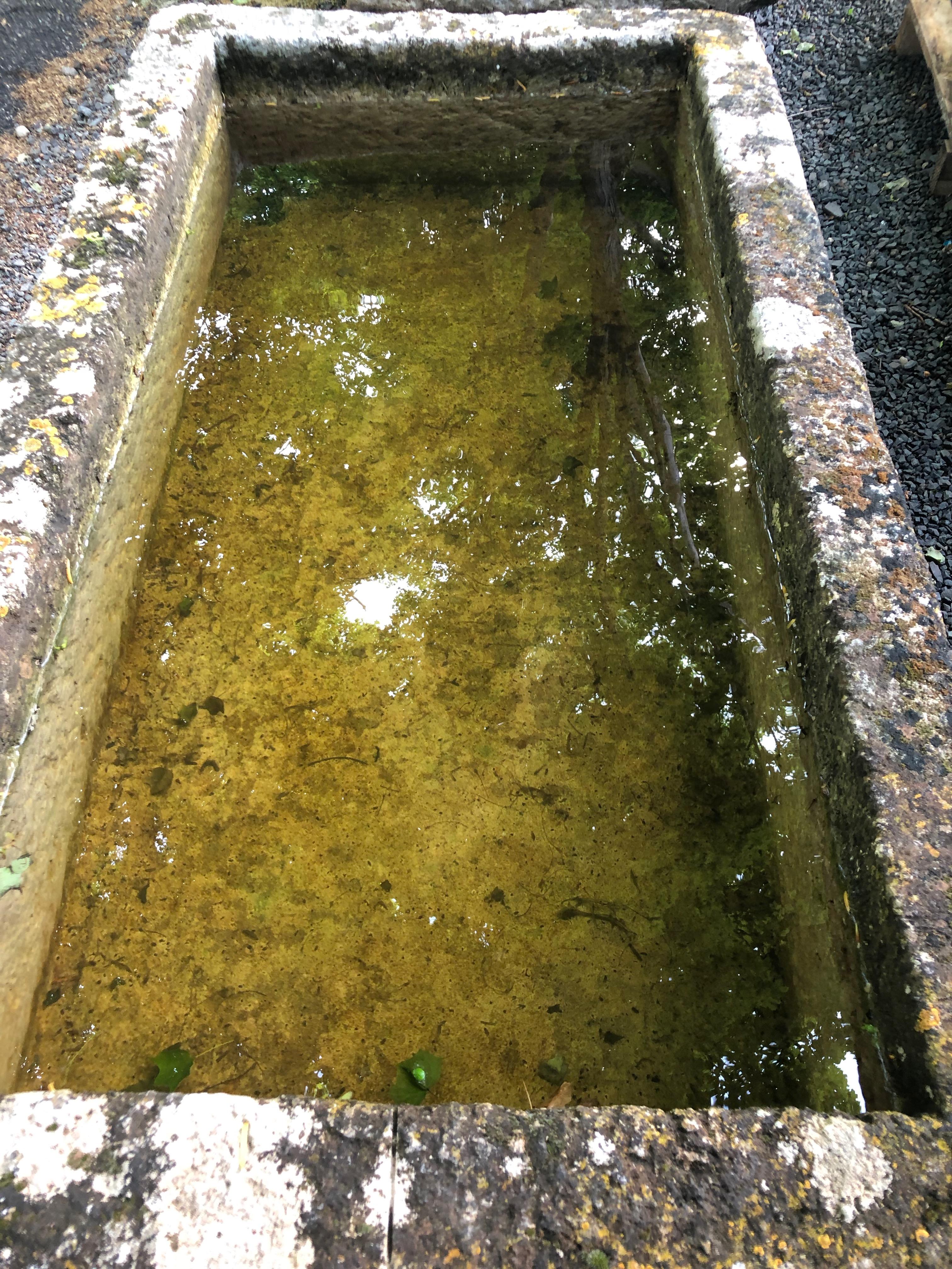 Large Hand Carved 18th Century French Limestone Trough with Patina 5