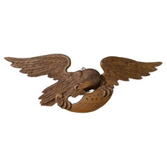 Grand aigle américain sculpté à la main avec ailes déployées et bouclier/flanc
