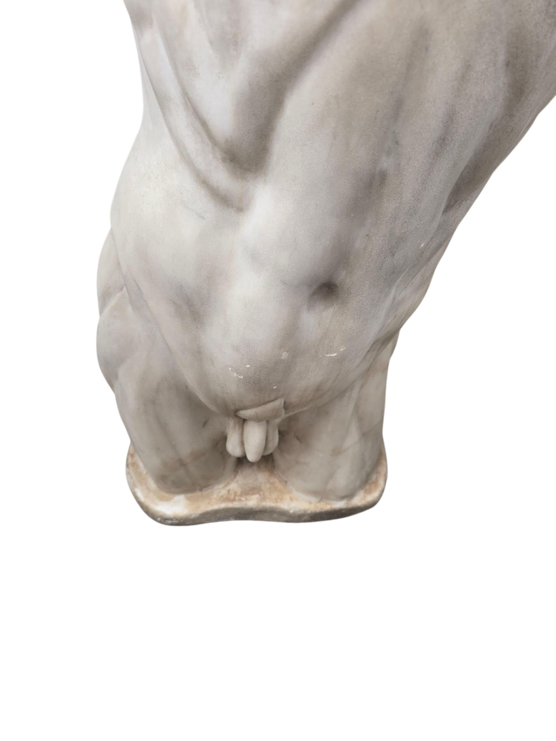 Große handgeschnitzte anatomische Büste aus Carrara-Marmor, Italien im Angebot 3