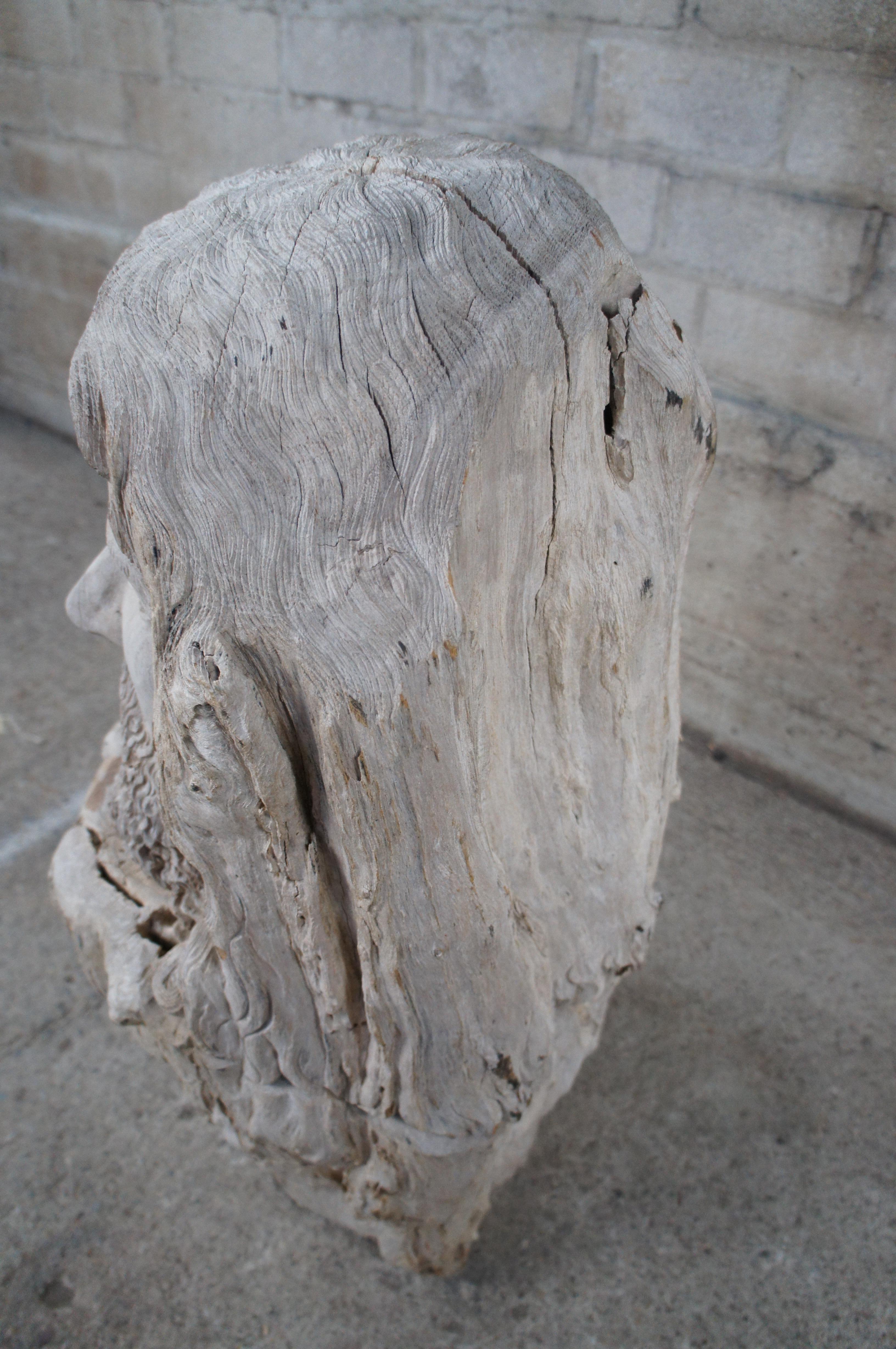 Grande sculpture en bois flotté sculptée à la main Zues Bust Statue Greek Roman Mythology 29