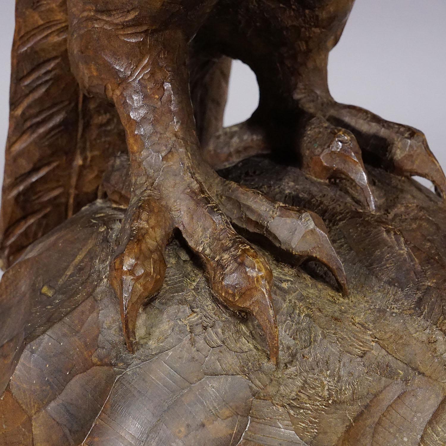 Gran estatua tallada a mano de un águila, Black Forest ca. 1900 en venta 4