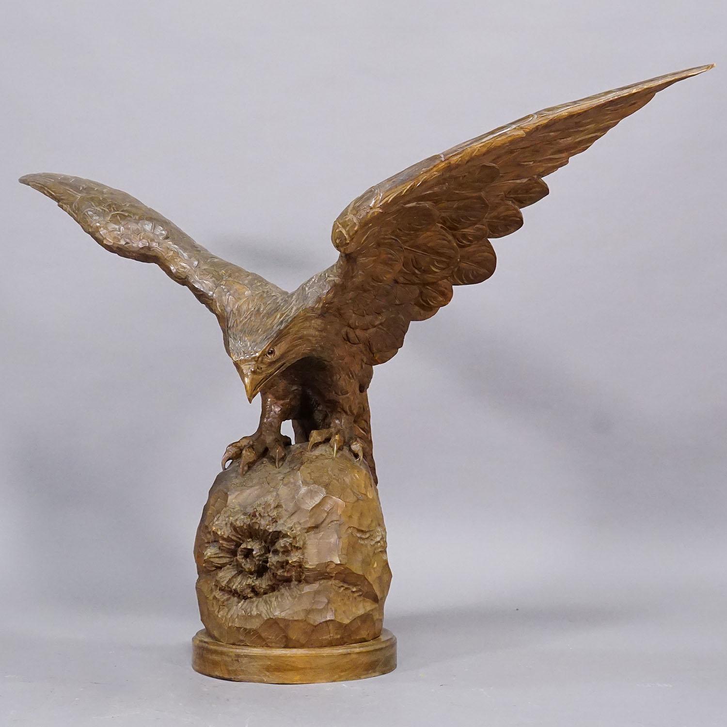 Gran estatua tallada a mano de un águila, Black Forest ca. 1900 Bosque negro en venta
