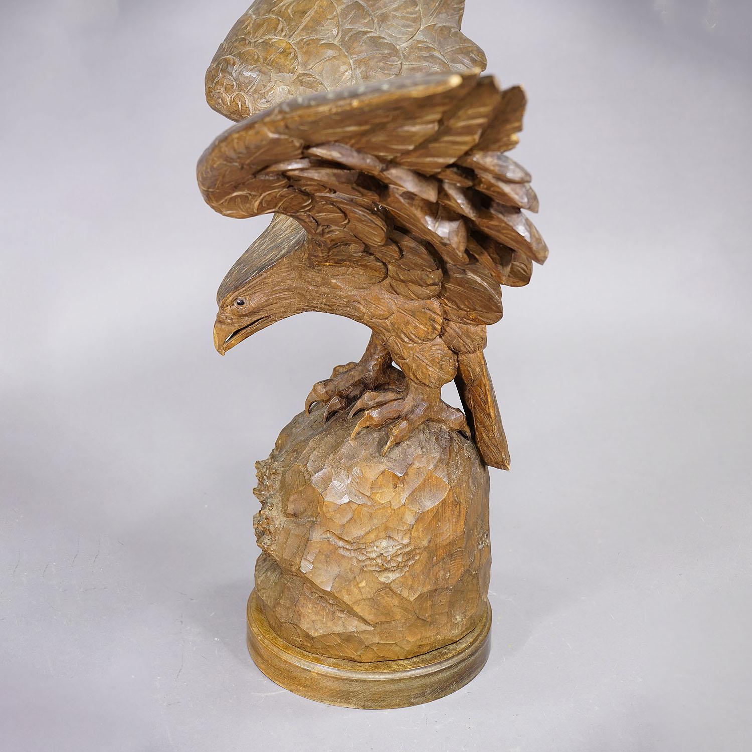 Gran estatua tallada a mano de un águila, Black Forest ca. 1900 en Bueno estado para la venta en Berghuelen, DE