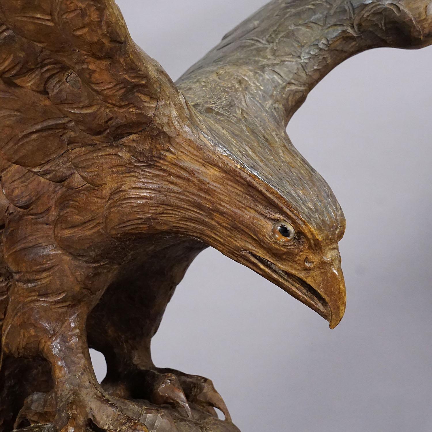 Gran estatua tallada a mano de un águila, Black Forest ca. 1900 en venta 1