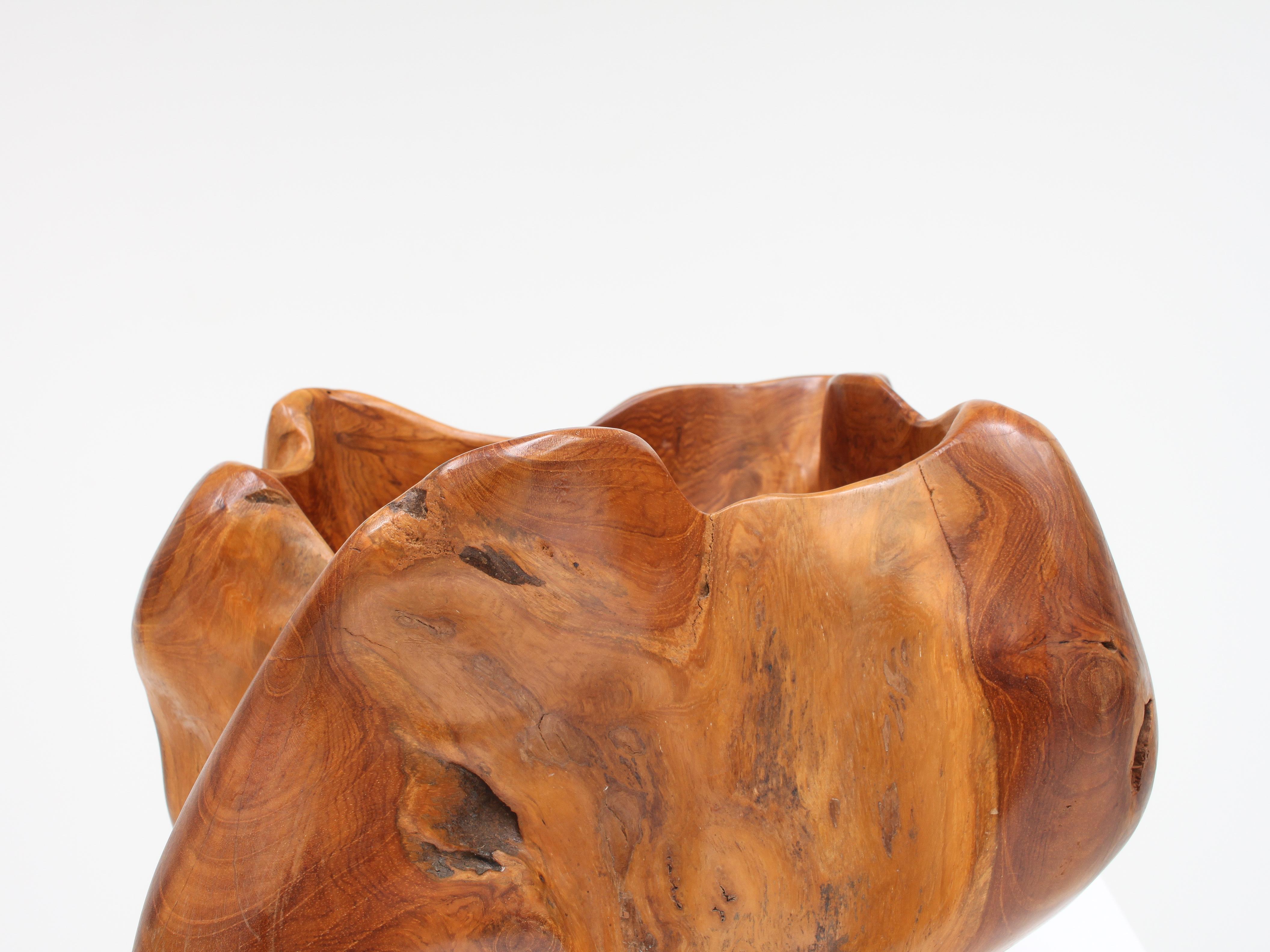 Large Hand-Carved Vintage Biomorphic Bowl, France For Sale 3
