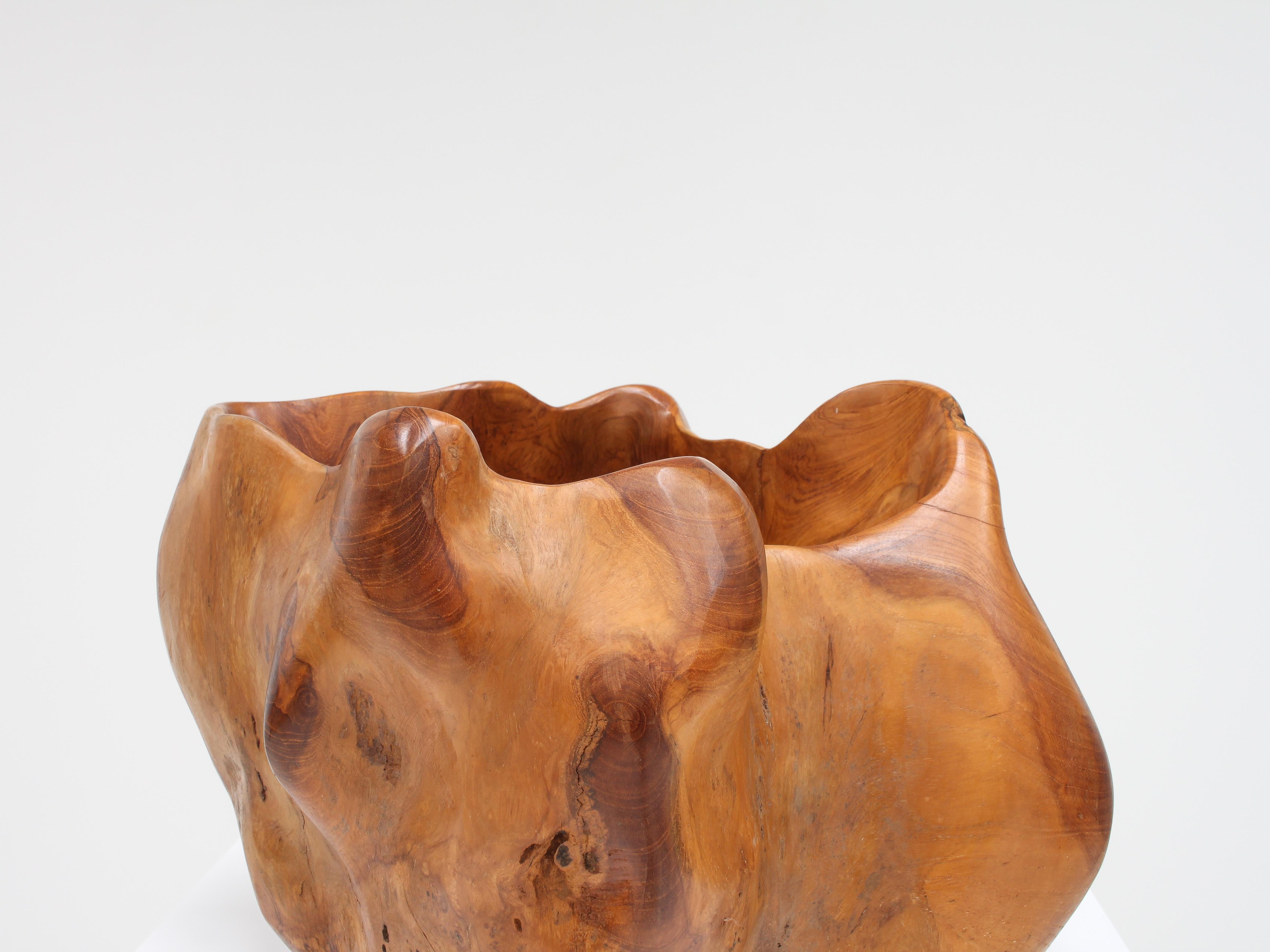 Large Hand-Carved Vintage Biomorphic Bowl, France For Sale 4