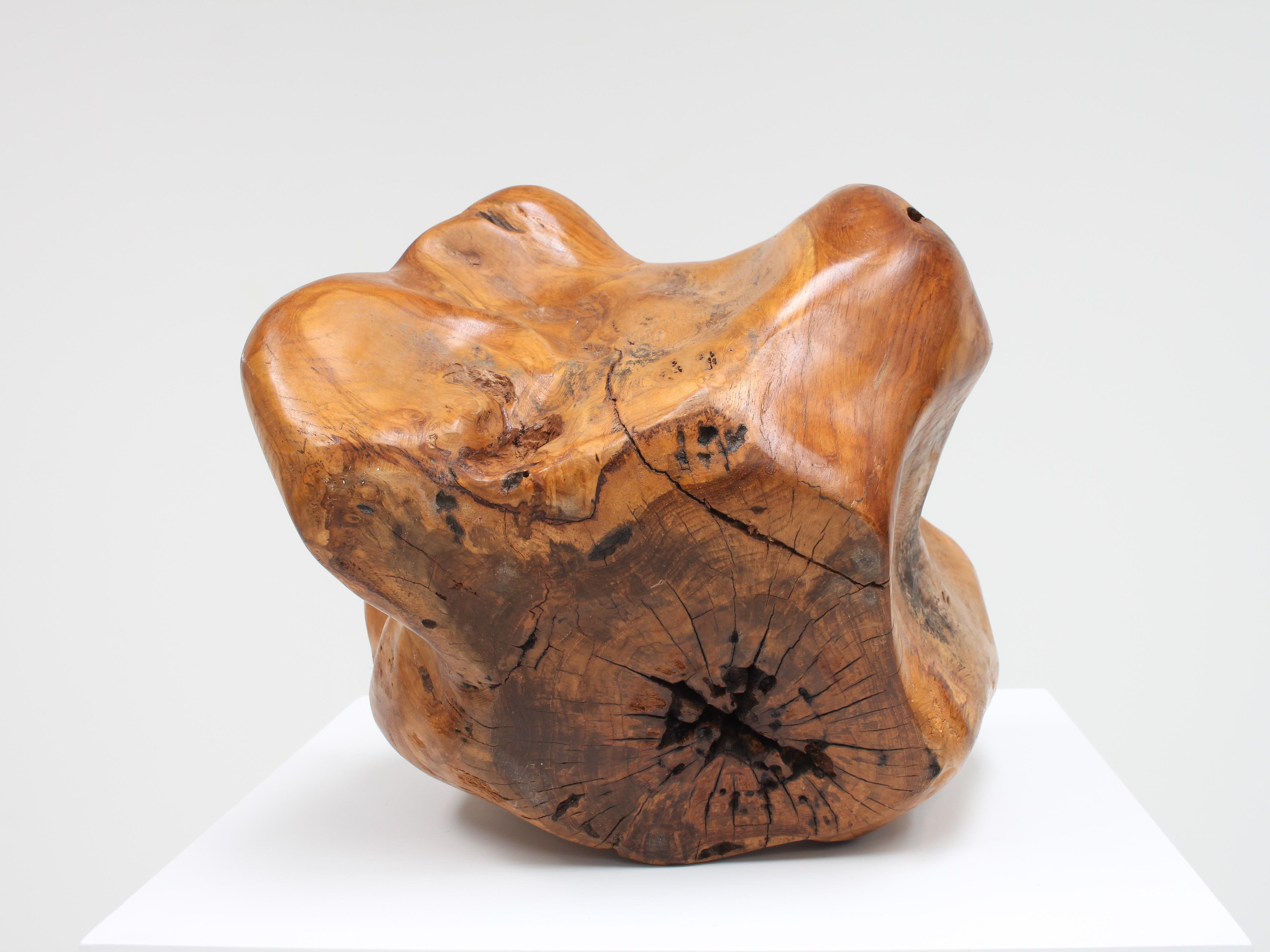Large Hand-Carved Vintage Biomorphic Bowl, France For Sale 5
