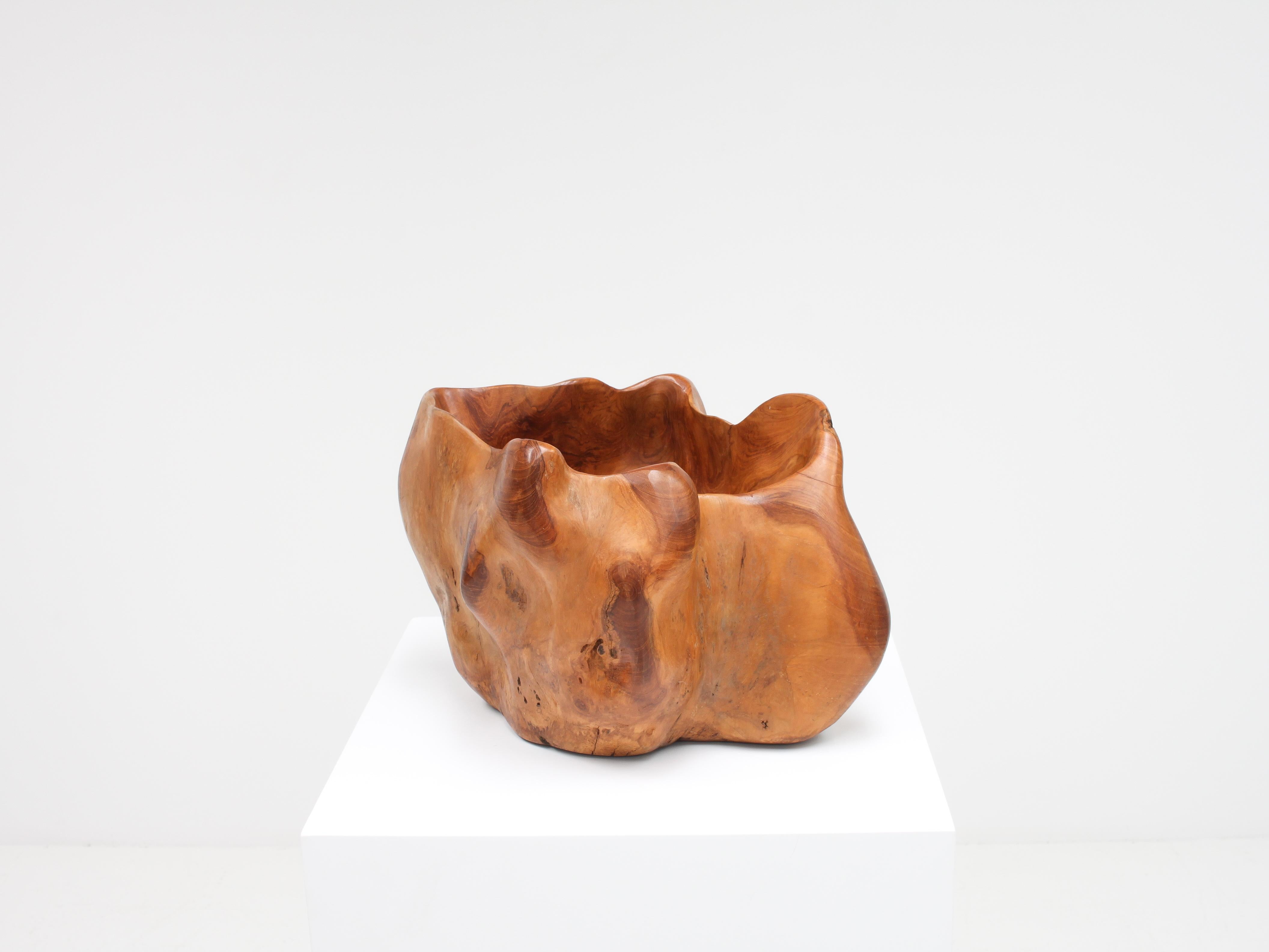 Wood Large Hand-Carved Vintage Biomorphic Bowl, France For Sale