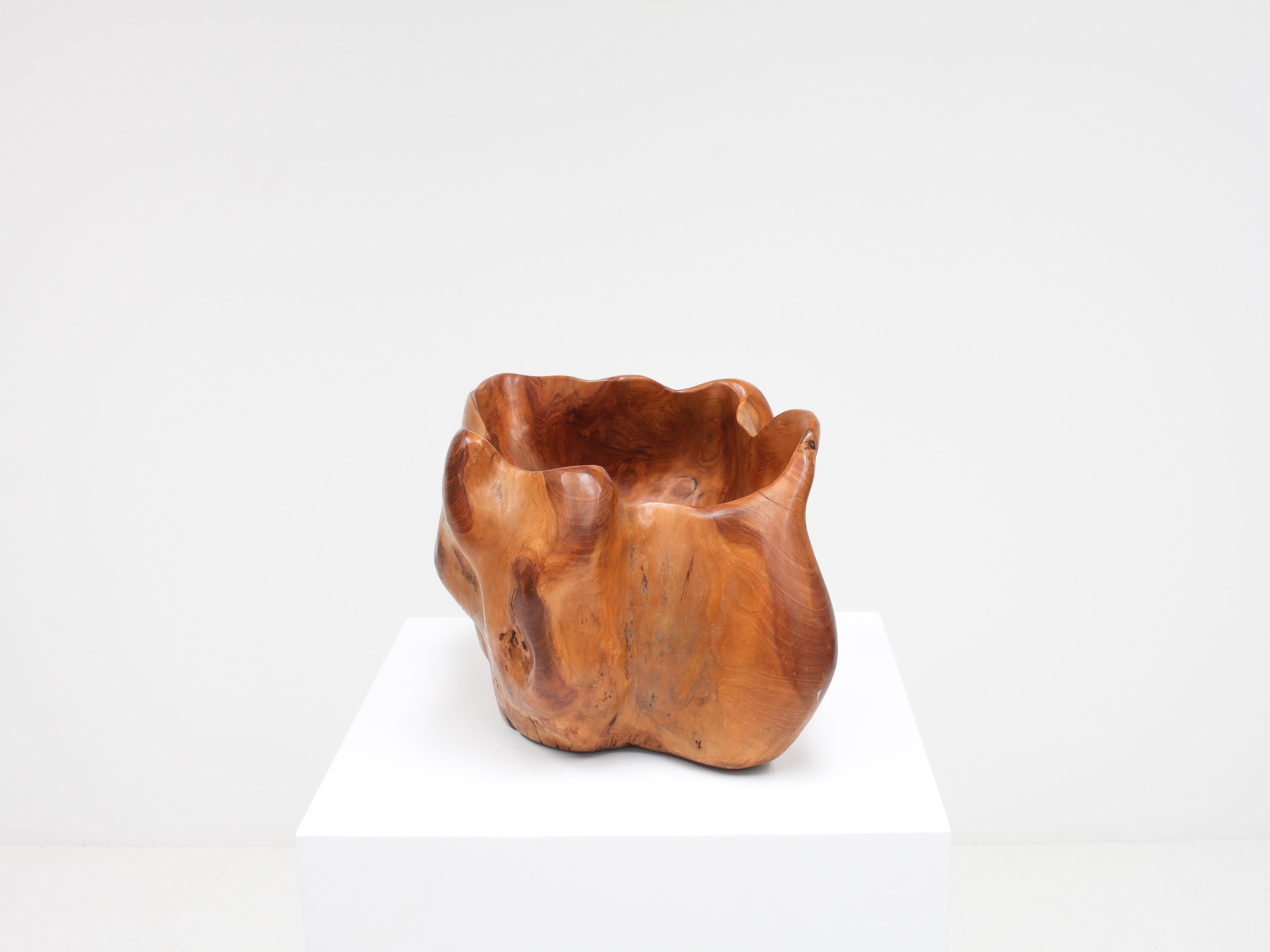 Large Hand-Carved Vintage Biomorphic Bowl, France For Sale 1