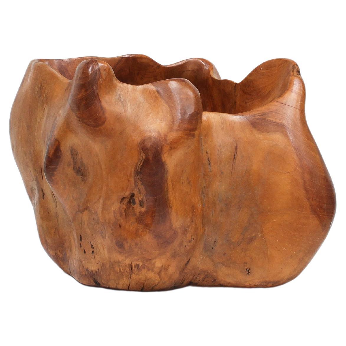 Large Hand-Carved Vintage Biomorphic Bowl, France For Sale