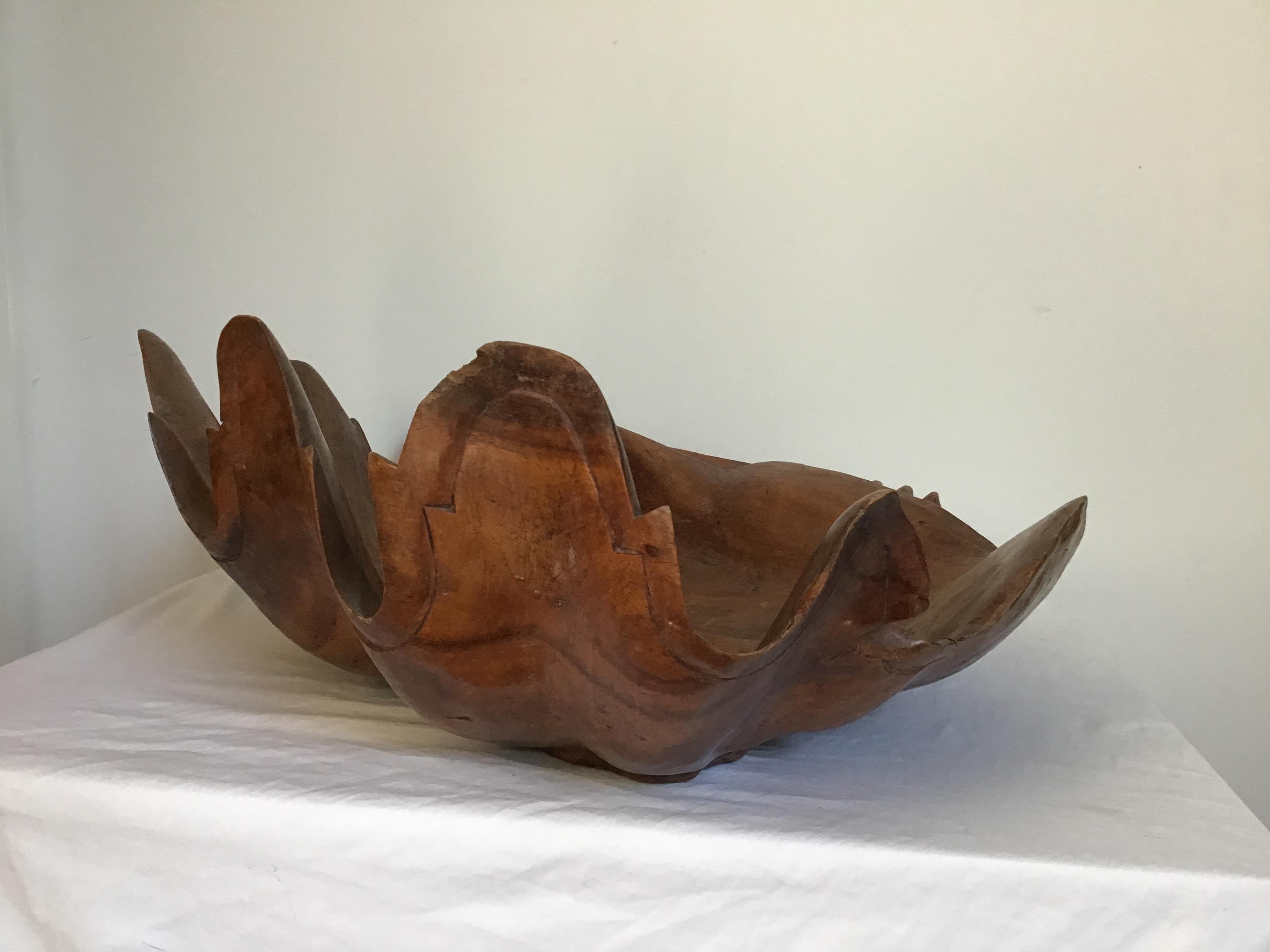 clam wood