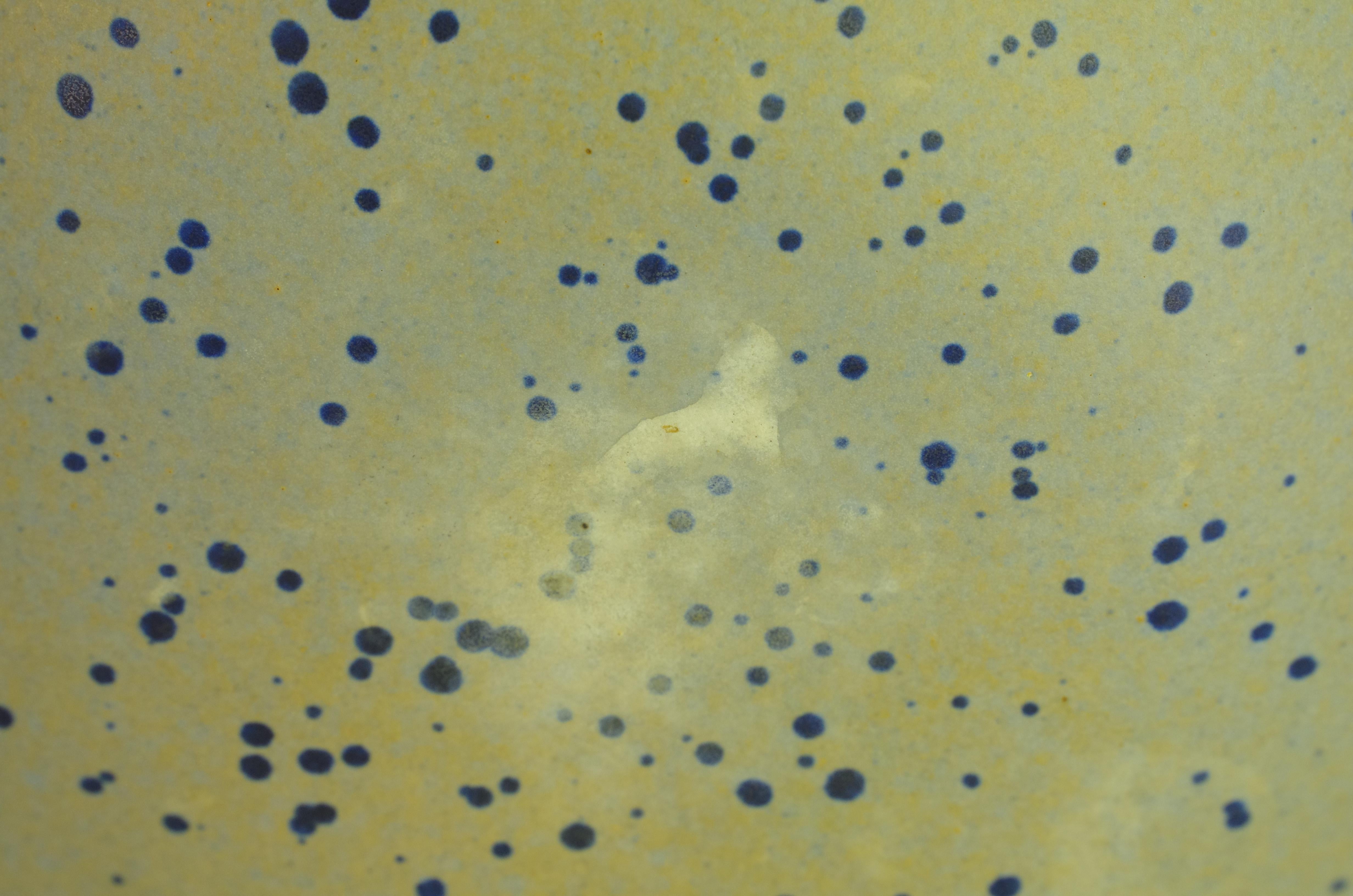 Ciotola grande smaltata a mano di Lisa Larson per Gustavsberg K.K., Svezia, anni '80 in vendita 5