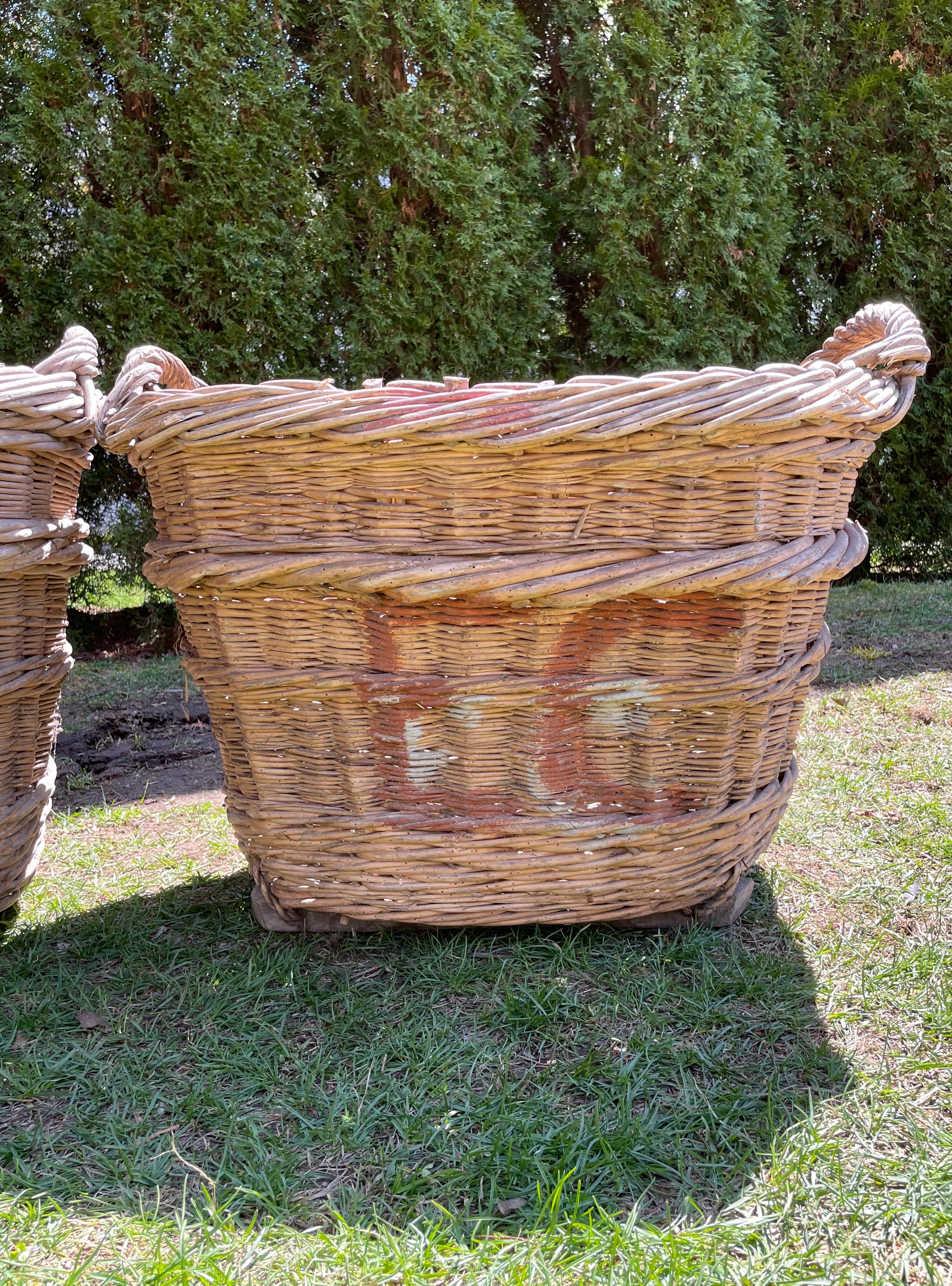 Large Hand-Made French Champagne Grape Harvest Baskets 3
