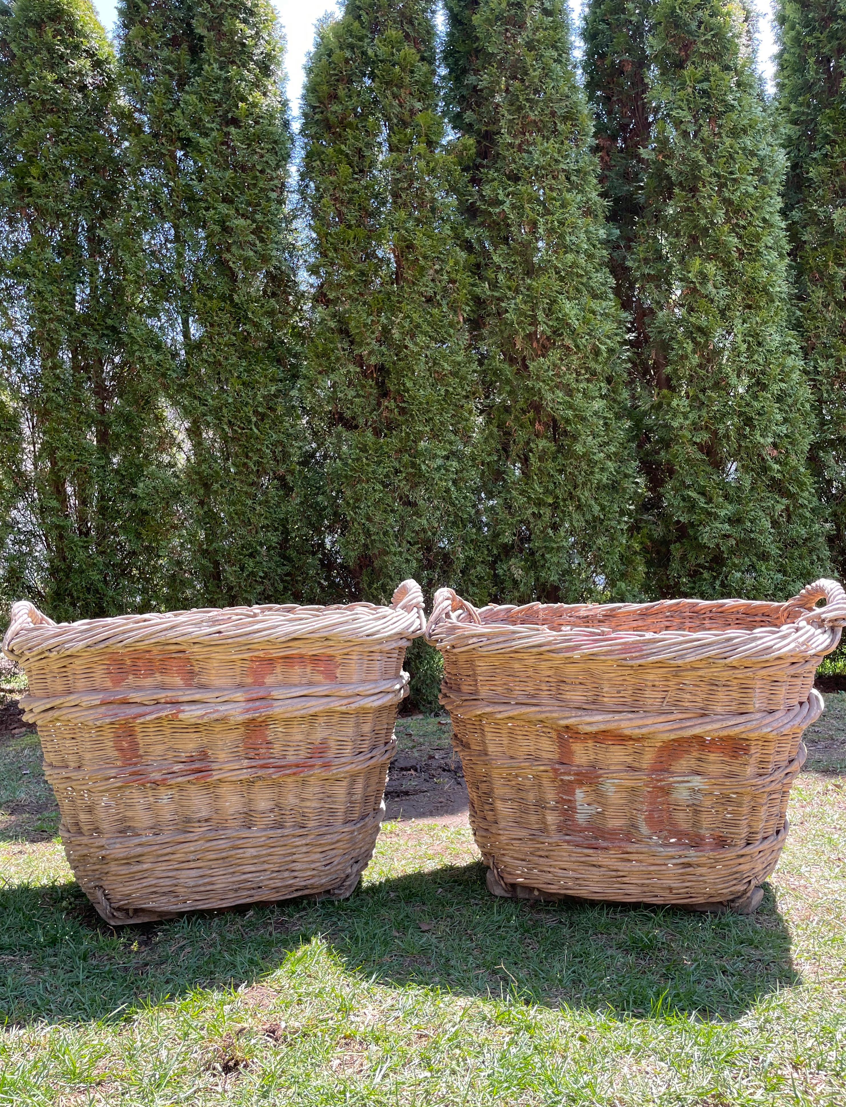 Large Hand-Made French Champagne Grape Harvest Baskets 4