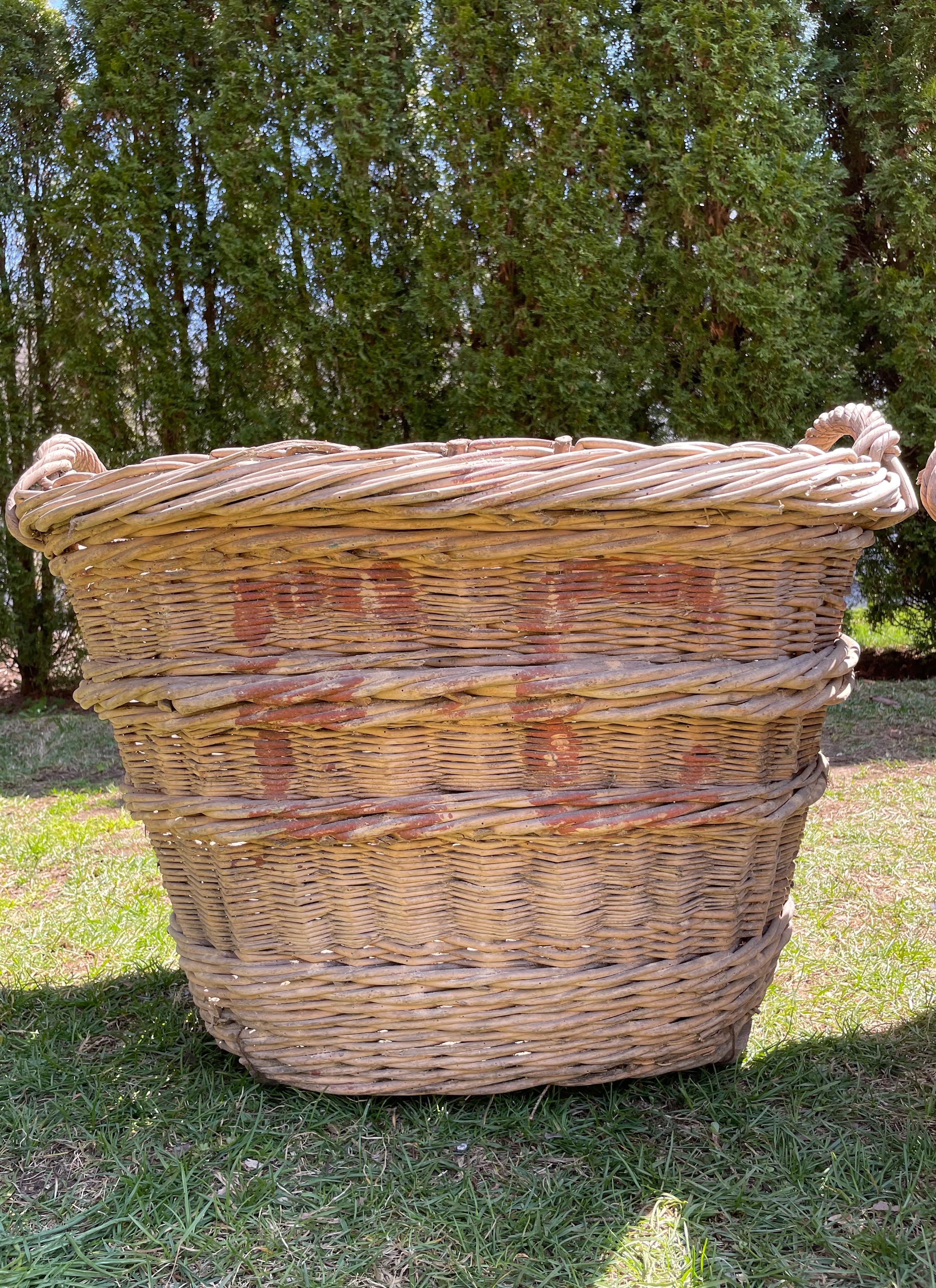 Large Hand-Made French Champagne Grape Harvest Baskets 5