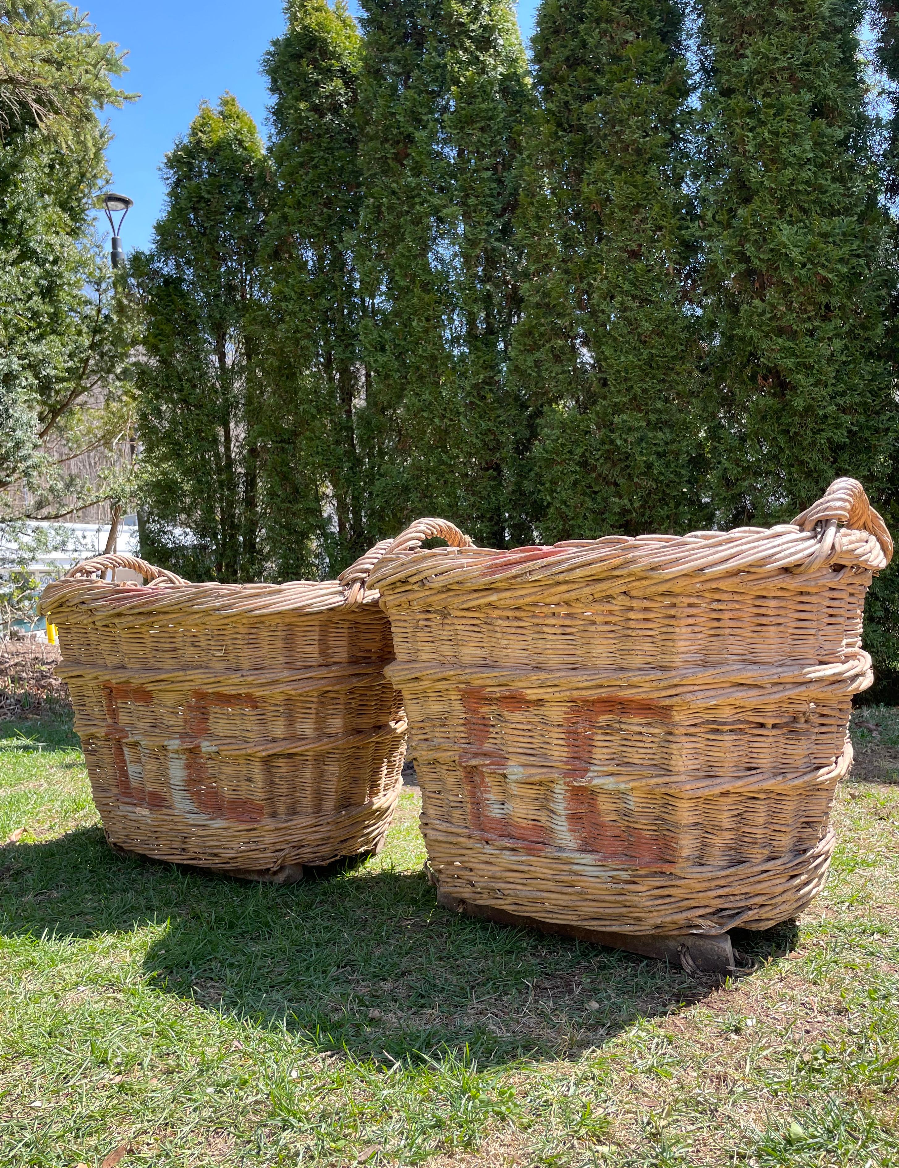 Large Hand-Made French Champagne Grape Harvest Baskets 7