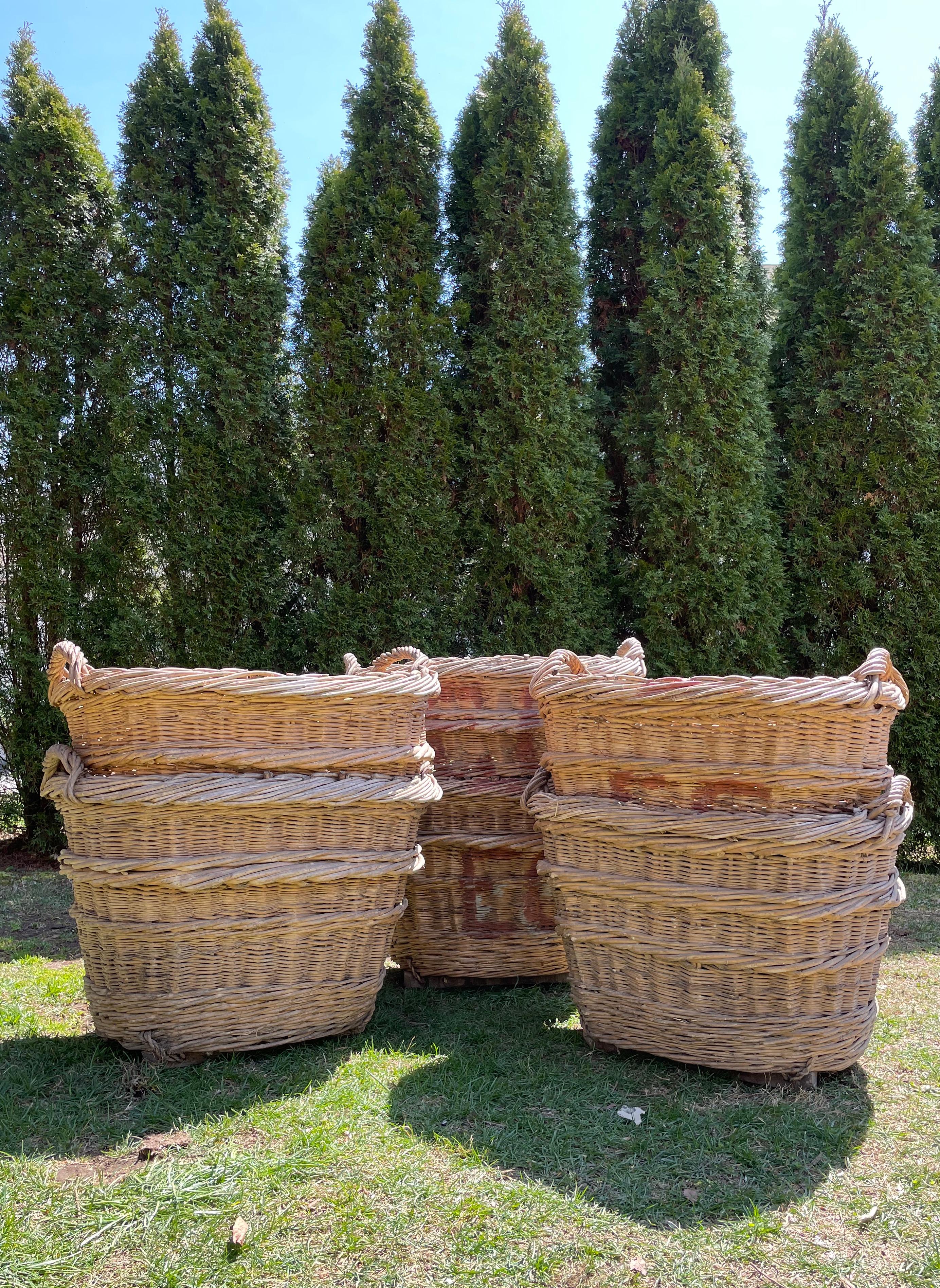 Beautiful champagne baskets such as these are increasingly difficult to find nowadays and these are special ones. Hand-woven from thick wicker reeds, they feature decorative horizontal braiding, sturdy handles, and original wooden skids on their