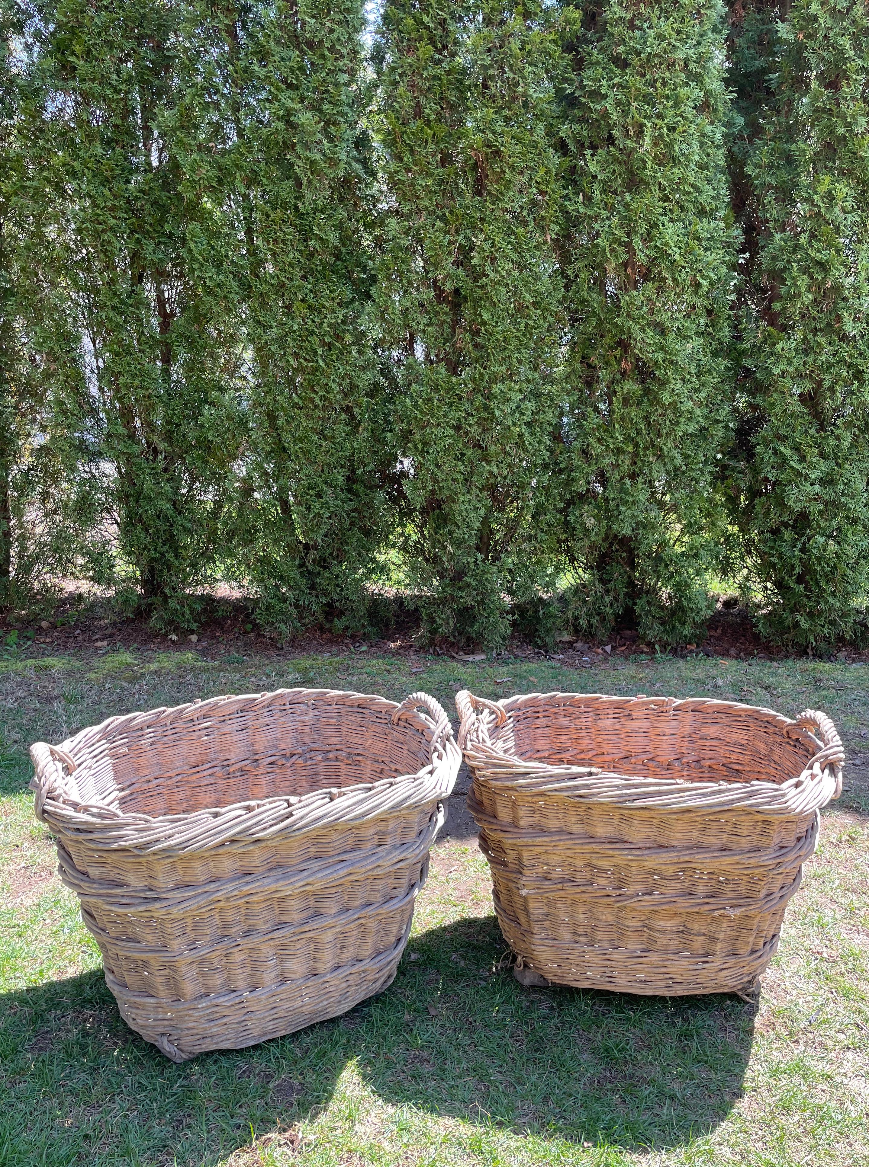 Large Hand-Made French Champagne Grape Harvest Baskets In Good Condition In Woodbury, CT