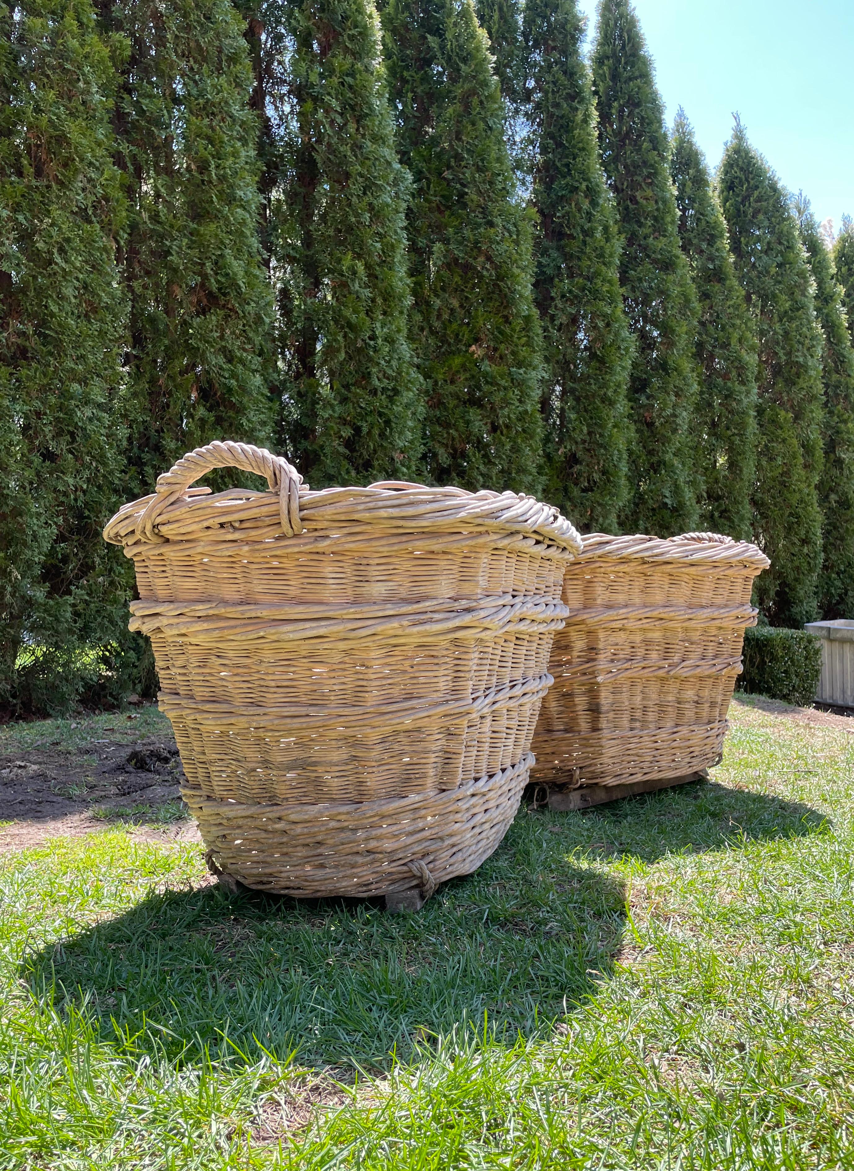 20th Century Large Hand-Made French Champagne Grape Harvest Baskets
