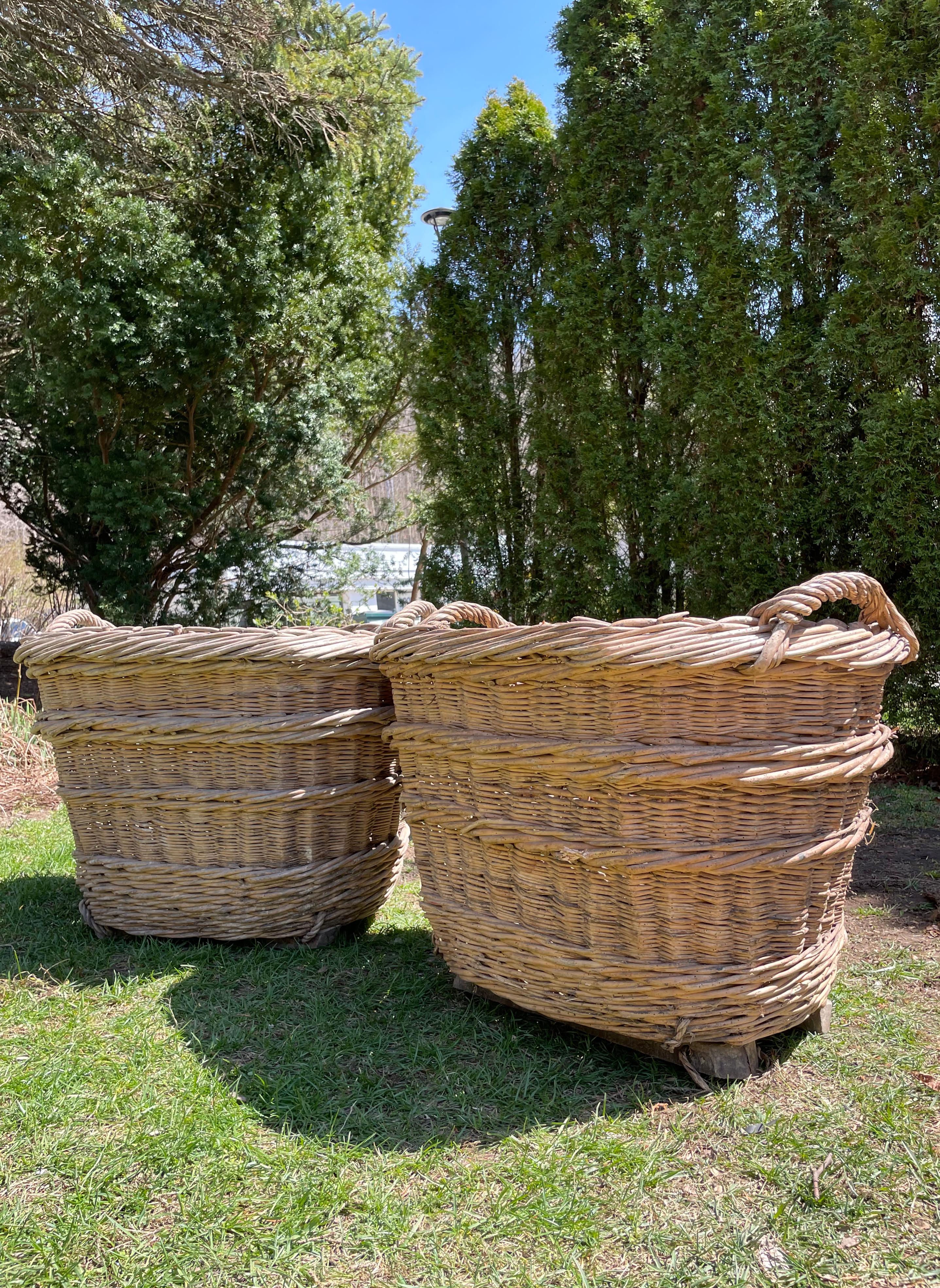 Wicker Large Hand-Made French Champagne Grape Harvest Baskets