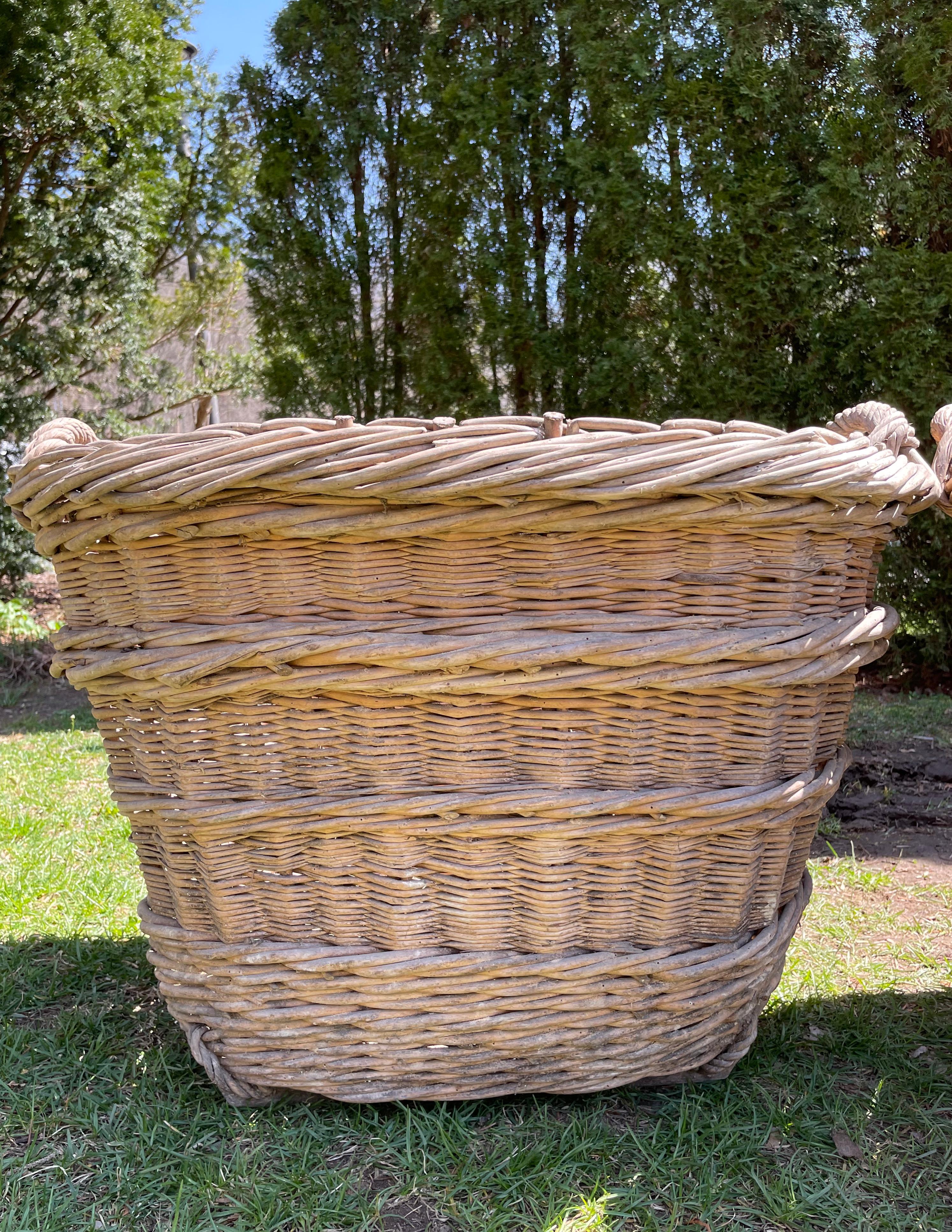 Large Hand-Made French Champagne Grape Harvest Baskets 1