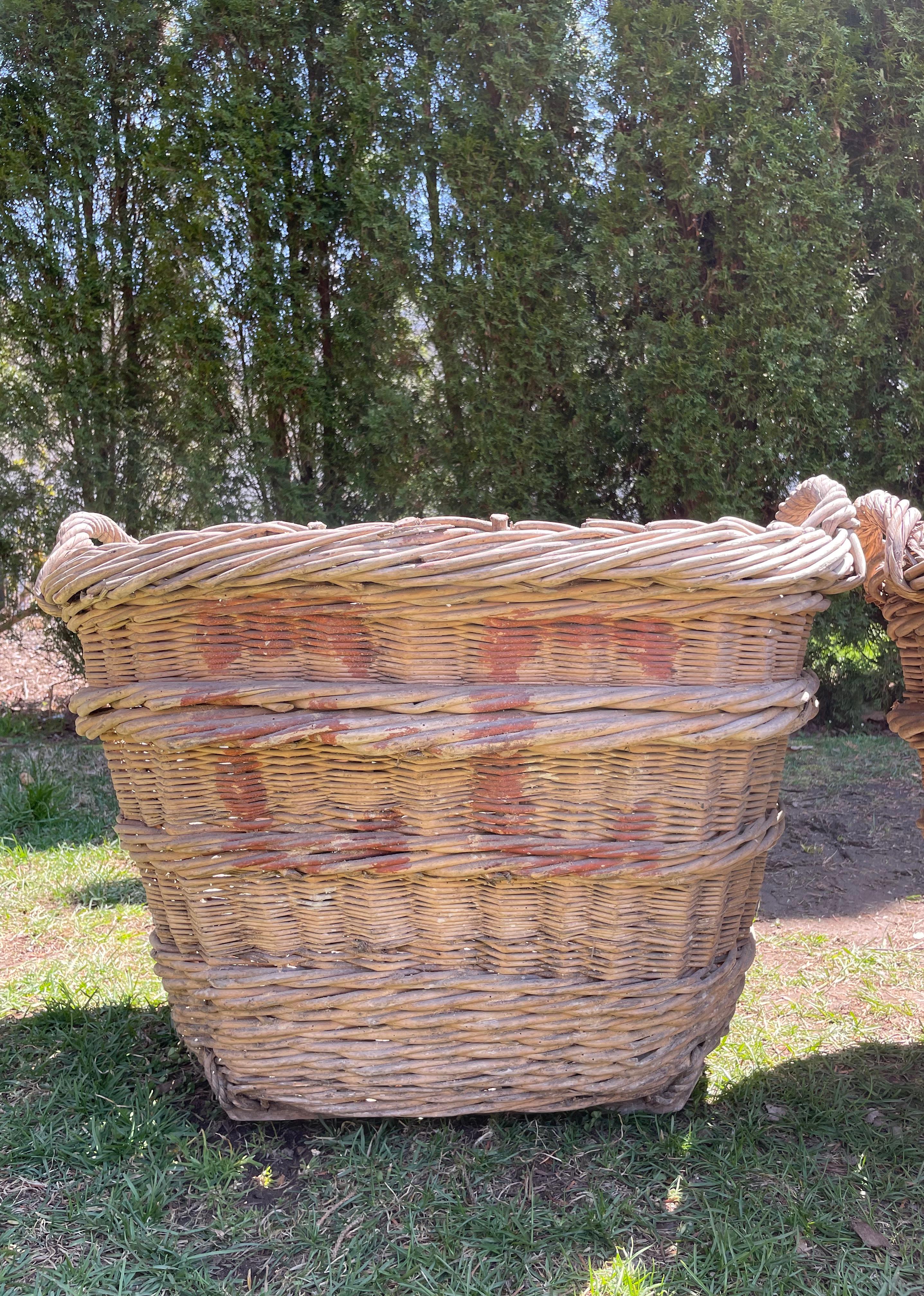 Large Hand-Made French Champagne Grape Harvest Baskets 2
