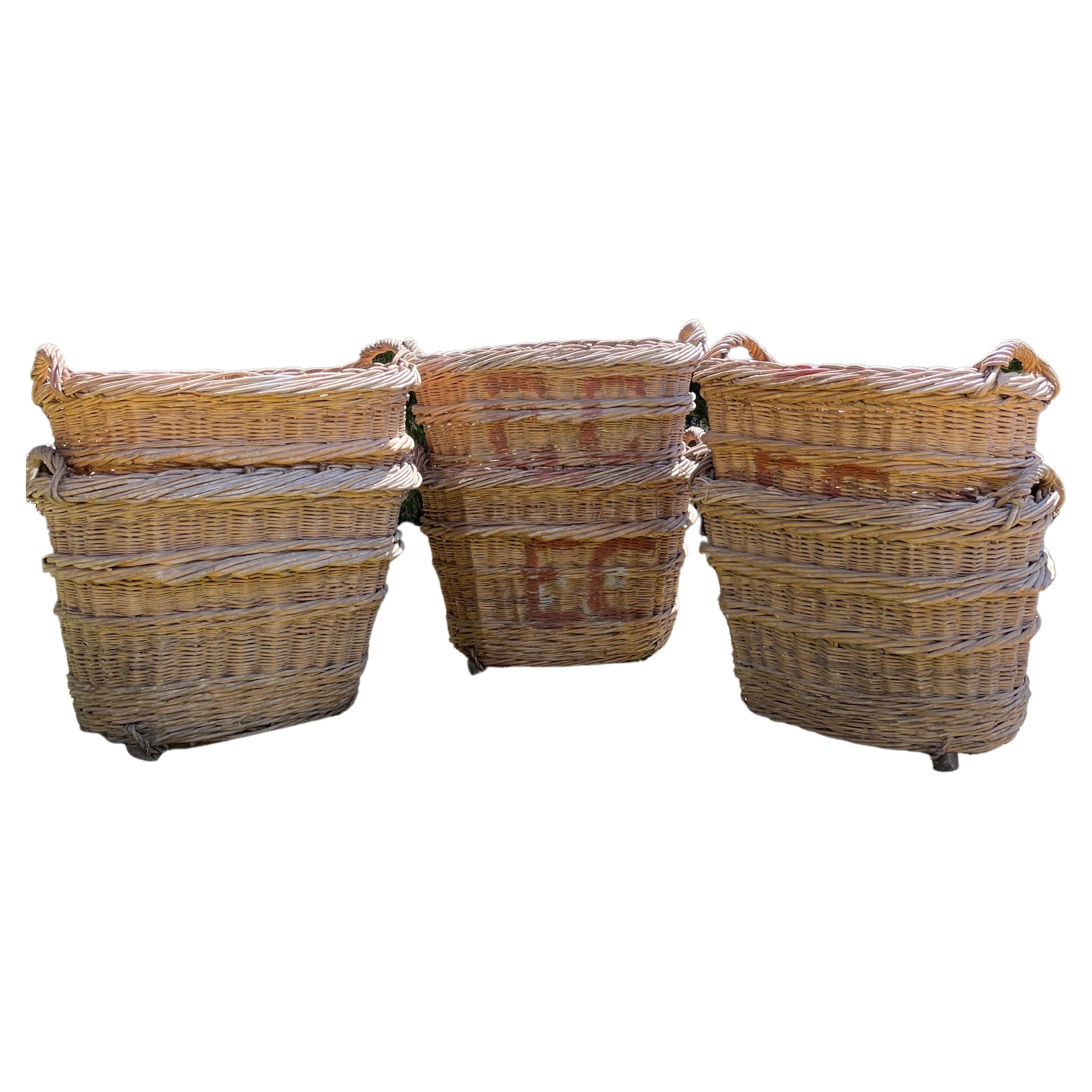 Bee Skep Basket Set of 2 Handmade Baskets 