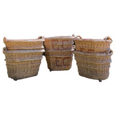 Large Hand-Made French Champagne Grape Harvest Baskets